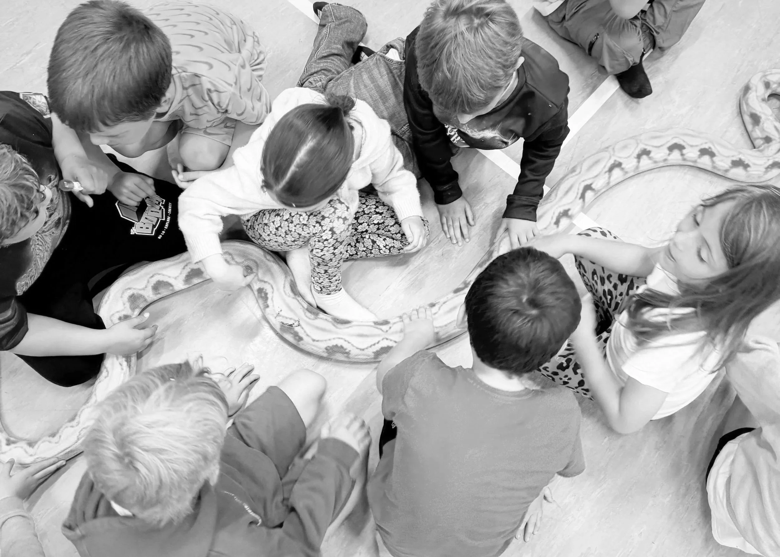 How much does a reptile party cost in the UK?