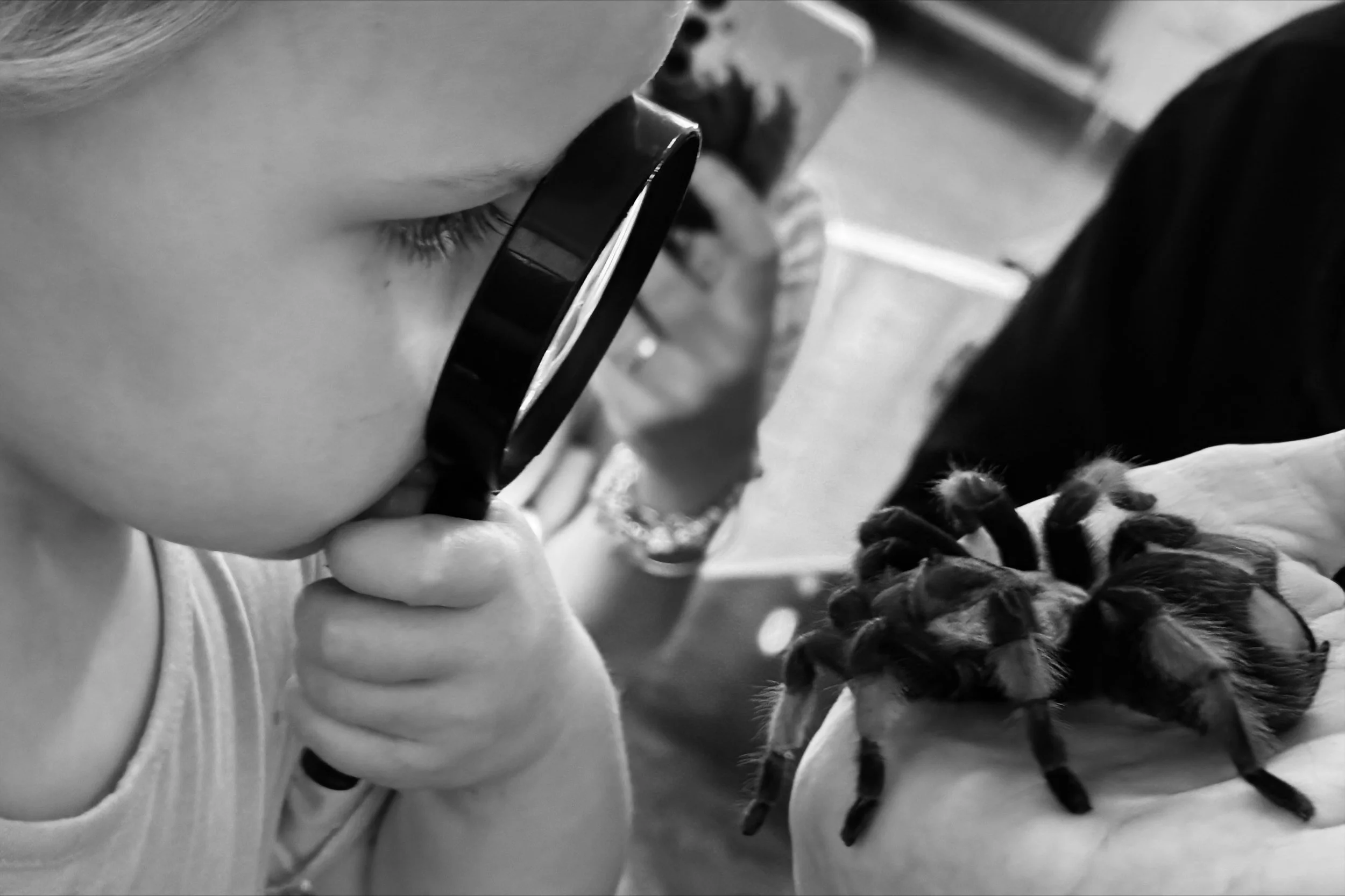 Fear of spiders in children: what’s normal, and how to help