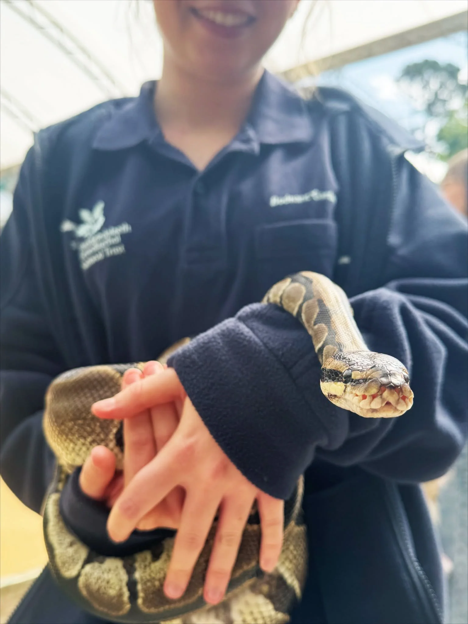 Interactive reptile experience at a private venue event