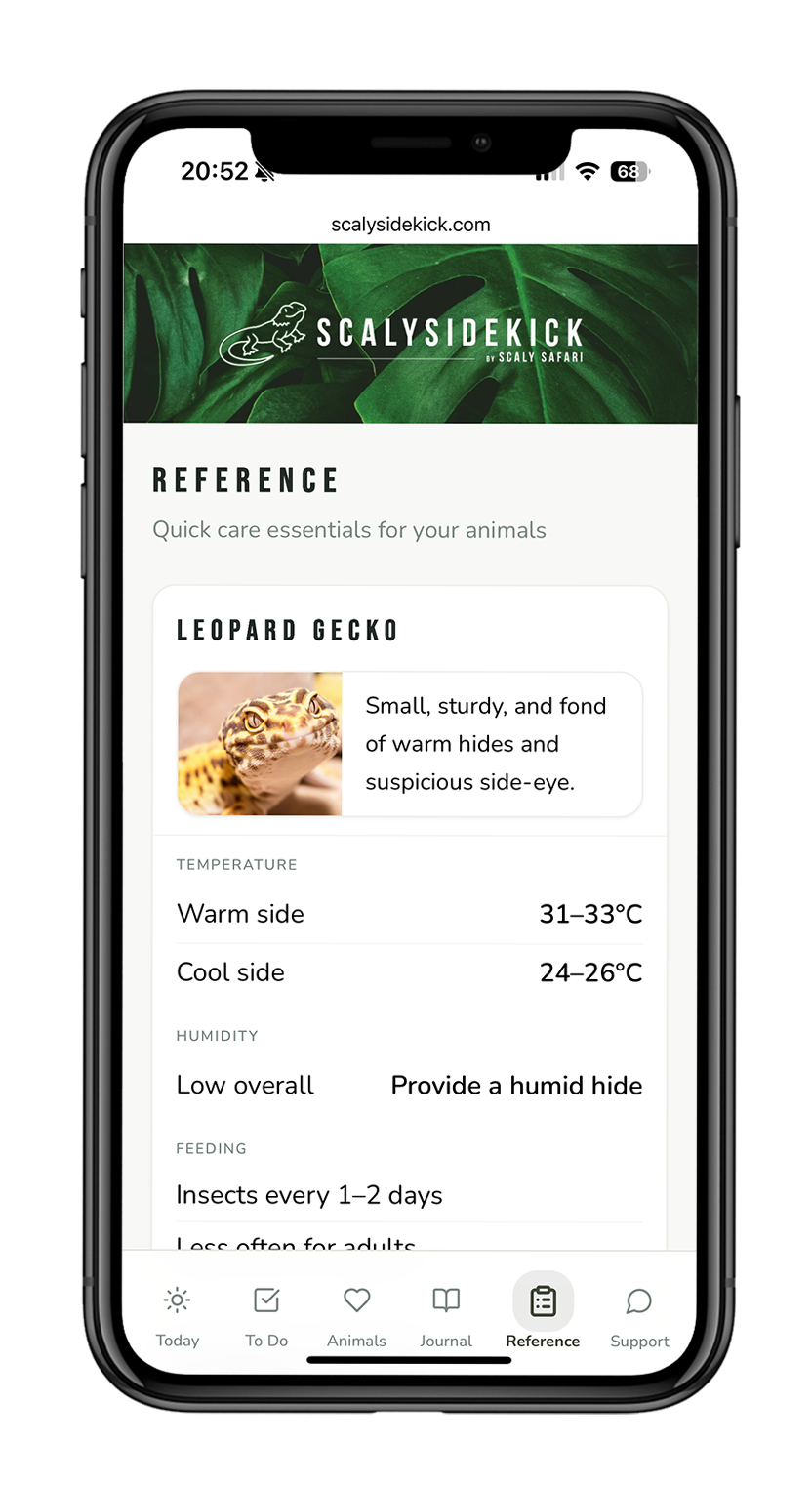 Reptile care app showing temperature, humidity, and feeding guidance for reptiles