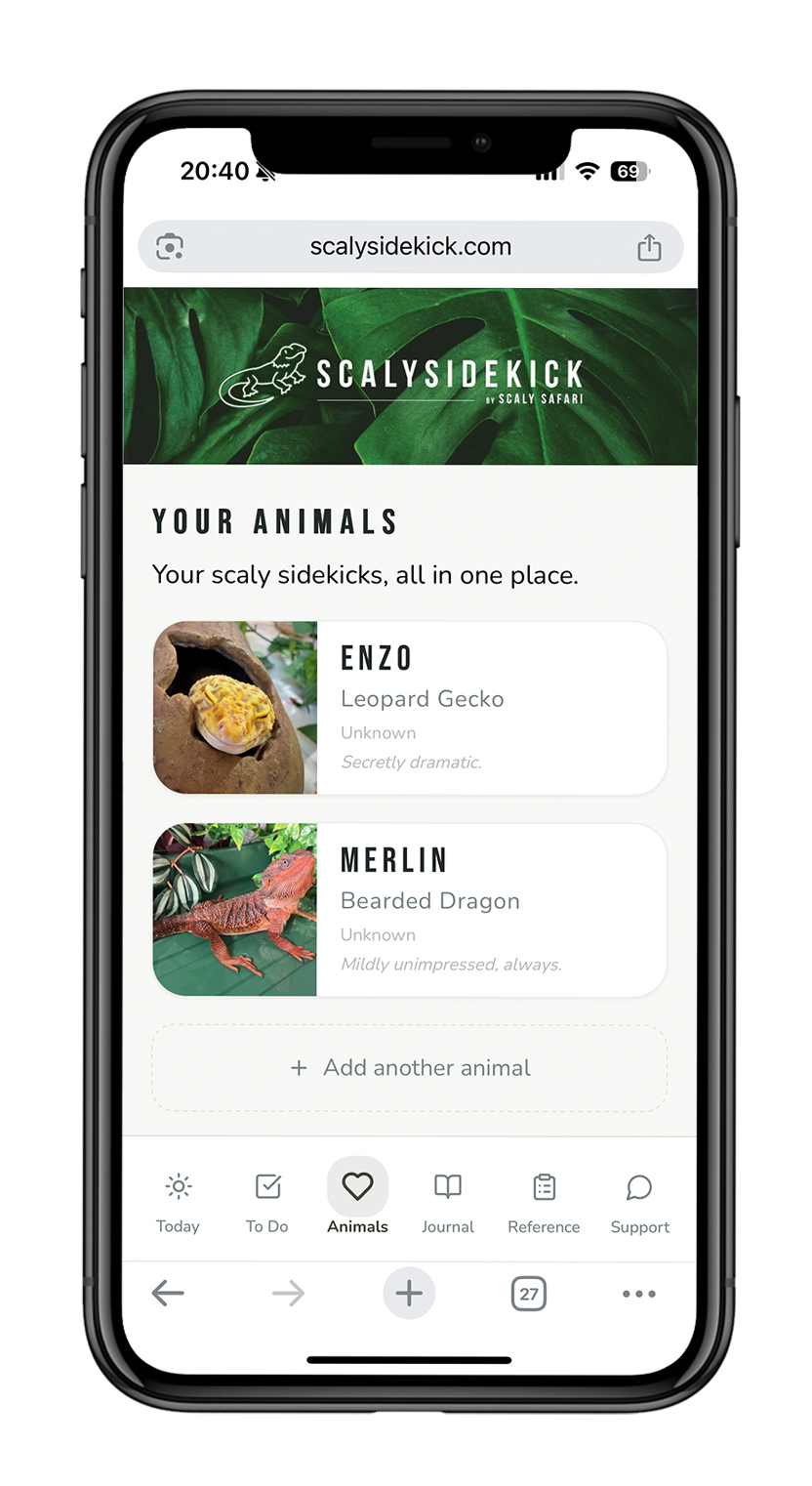 Reptile care app showing animal profiles with photos and details for multiple reptiles