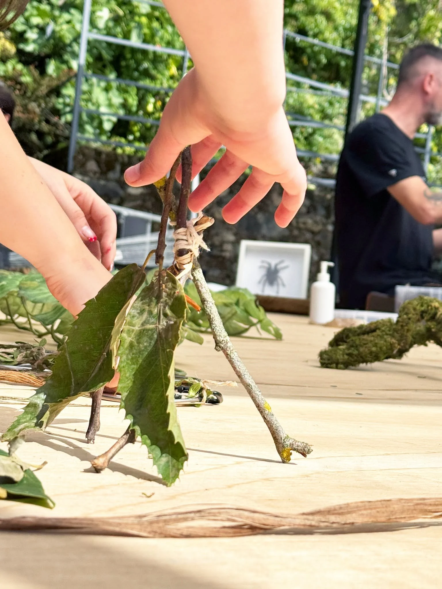 Family reptile experience at National Trust Bodnant Garden