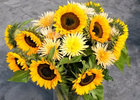 Opportunities to Celebrate