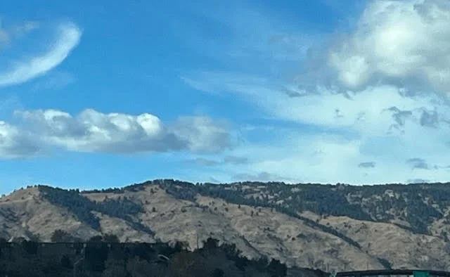 Celebrating Launch and Bulldozing Barriers