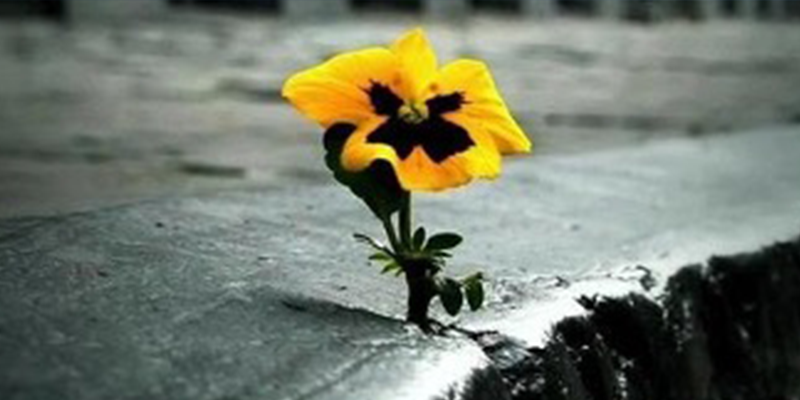 Navigating Life's Storms: From a Rough Past to the Helm of Empowerment