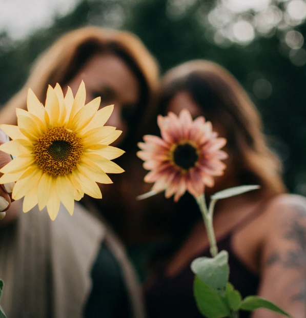 A Safe Place to Begin Again