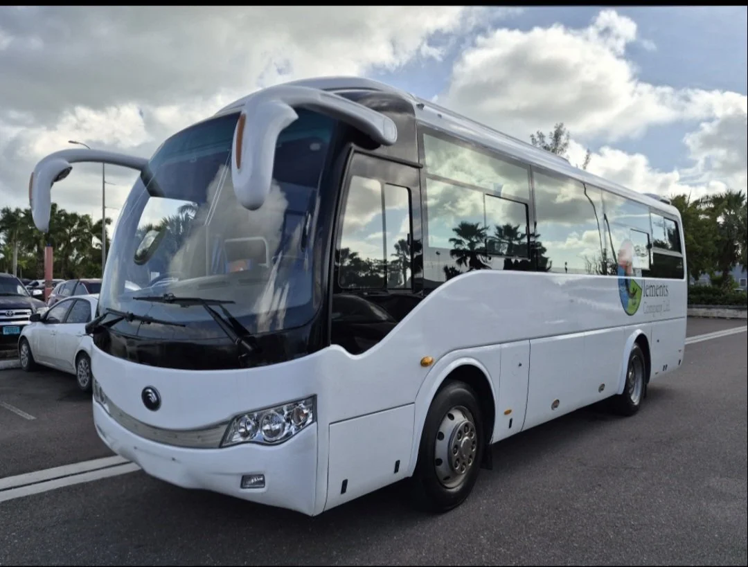 White bus with a logo on the side, parked in a lot with other vehicles and palm trees in the background.