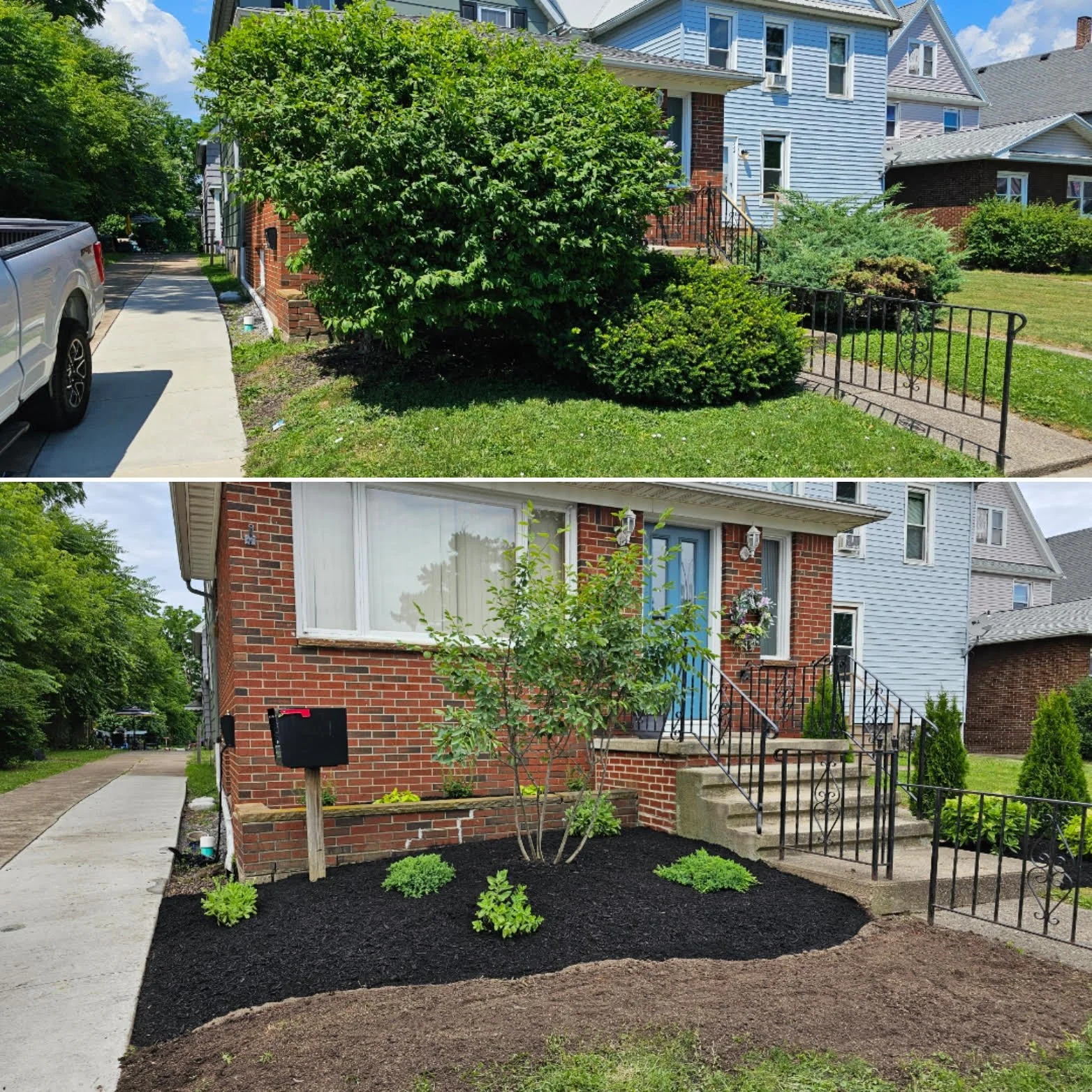 Before and after images of a house front yard landscaping, showing the removal of a large shrub and addition of mulch and new plants.