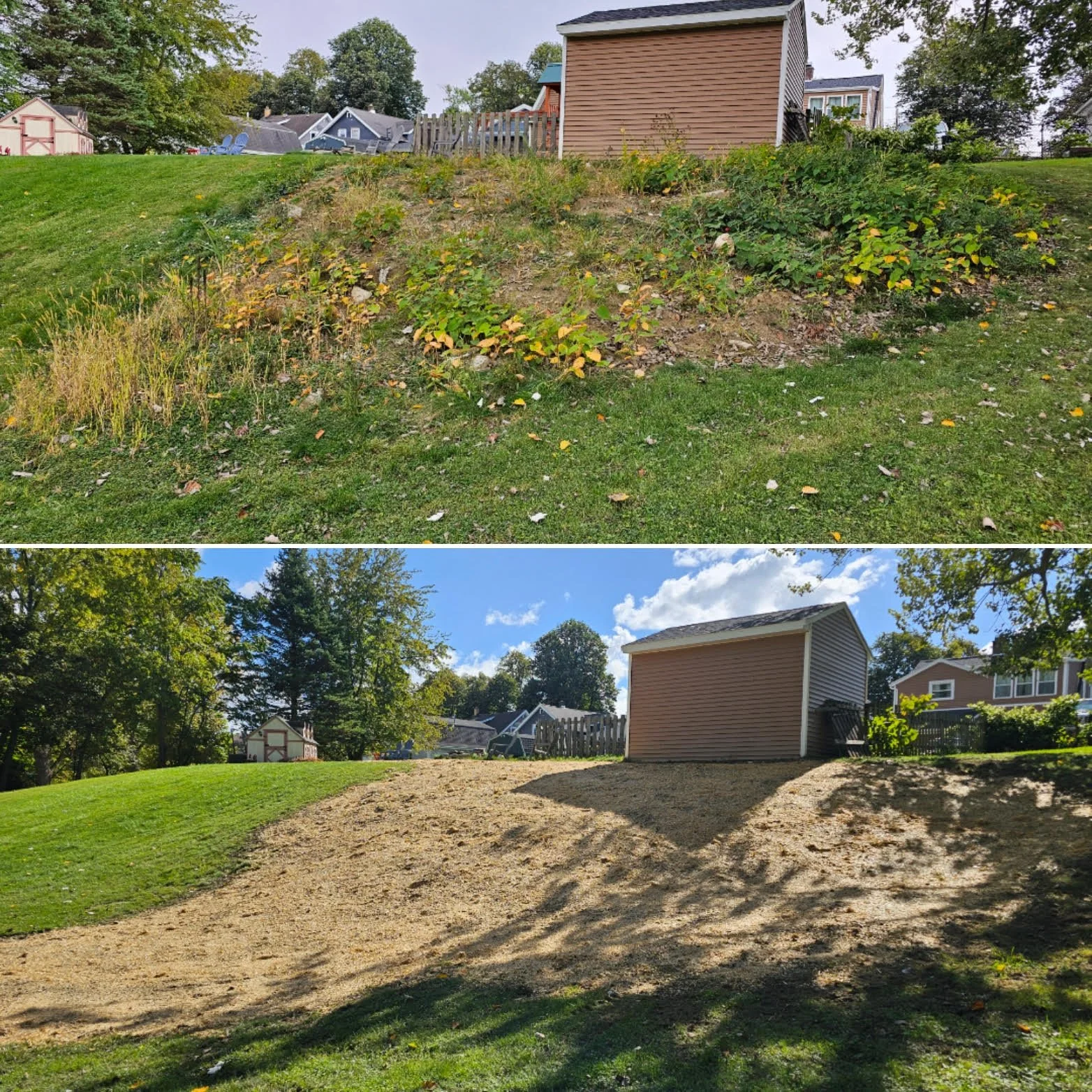 Two photos of the same backyard slope before and after landscaping. The top photo shows overgrown weeds and plants on a grassy hill, while the bottom photo shows the hill cleared of plants, with exposed soil prepared for landscaping.