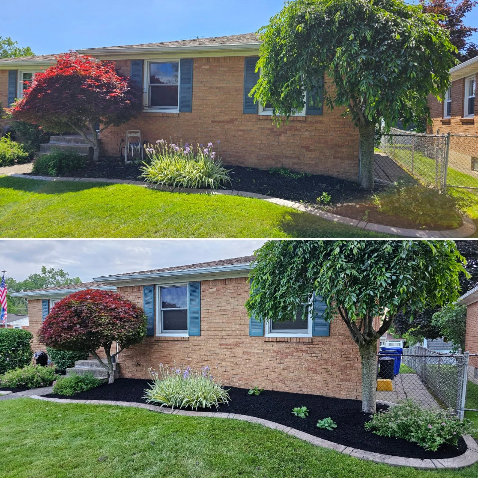 Before and after shots of a front yard with landscaped gardening, including trees, bushes, and flowering plants.