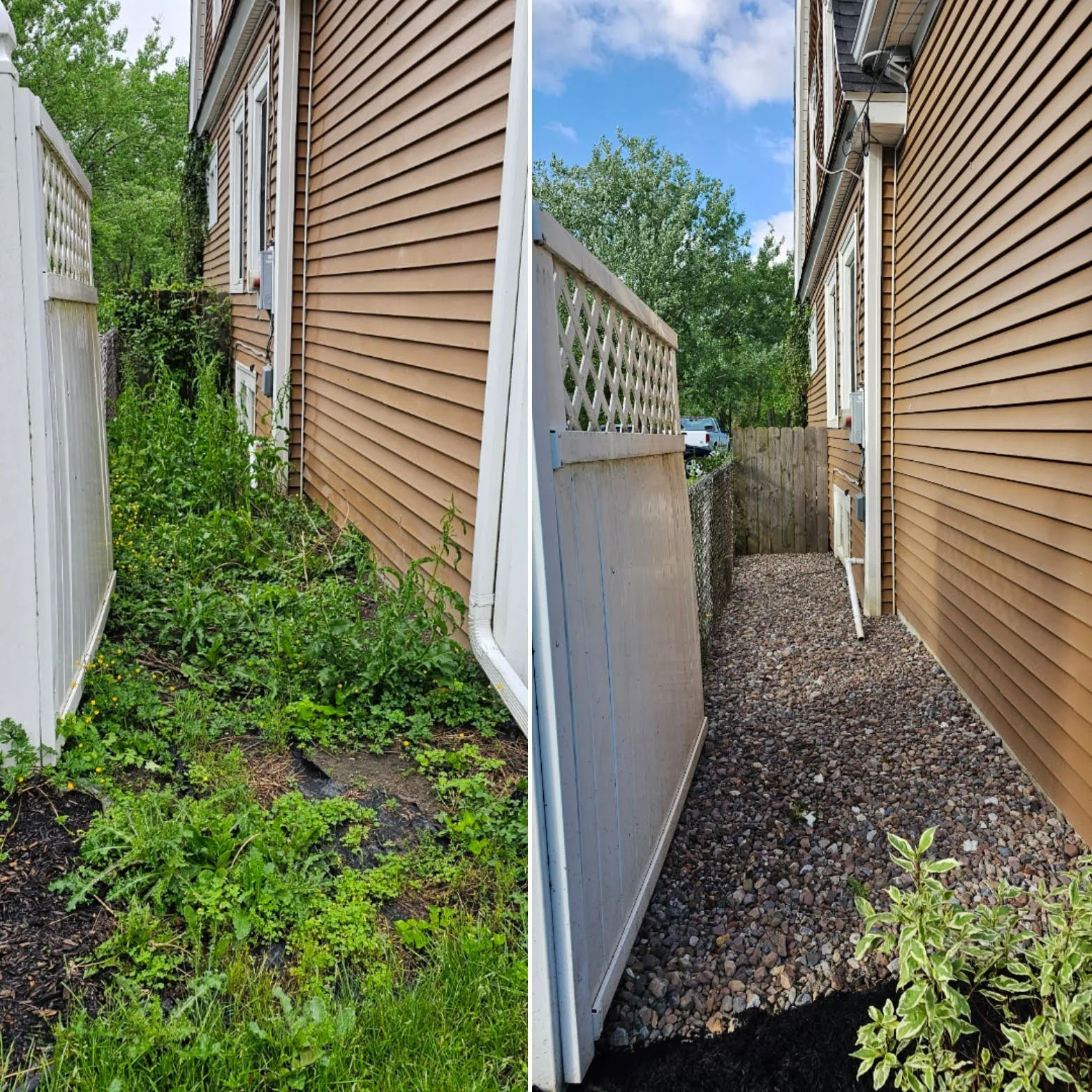 Side-by-side comparison of a backyard area, showing overgrown garden with weeds on the left and a cleaned gravel pathway on the right, next to a house with beige siding and white fences.
