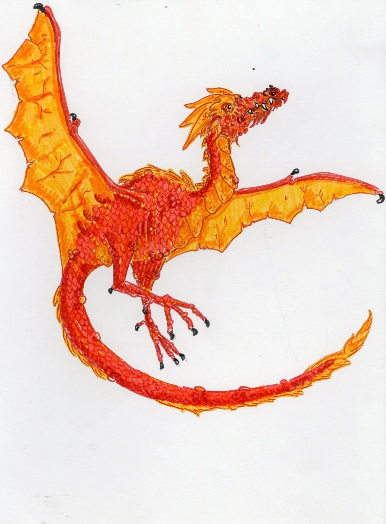 Dragon12.jpg
