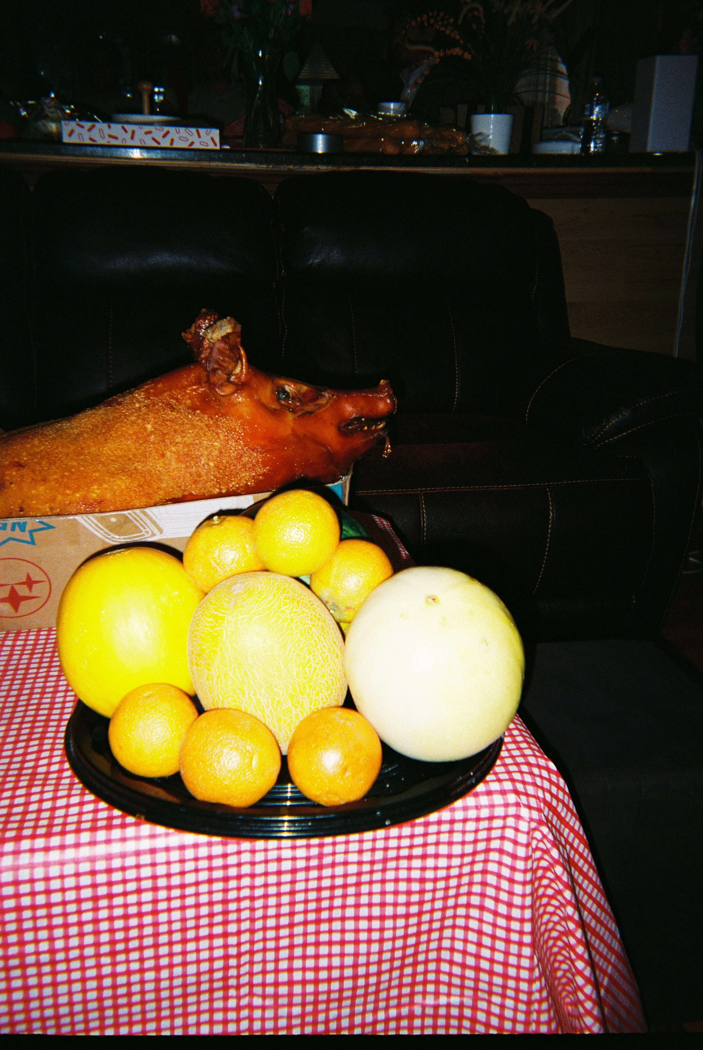 8812Tran006769_005.jpg