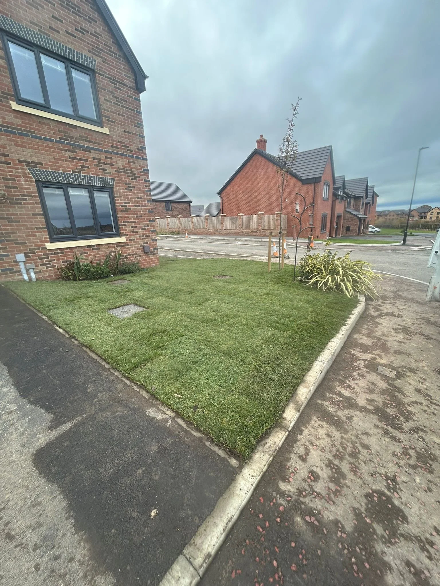 Newly landscaped front yard with grass, small trees, and plants next to residential houses under a cloudy sky.