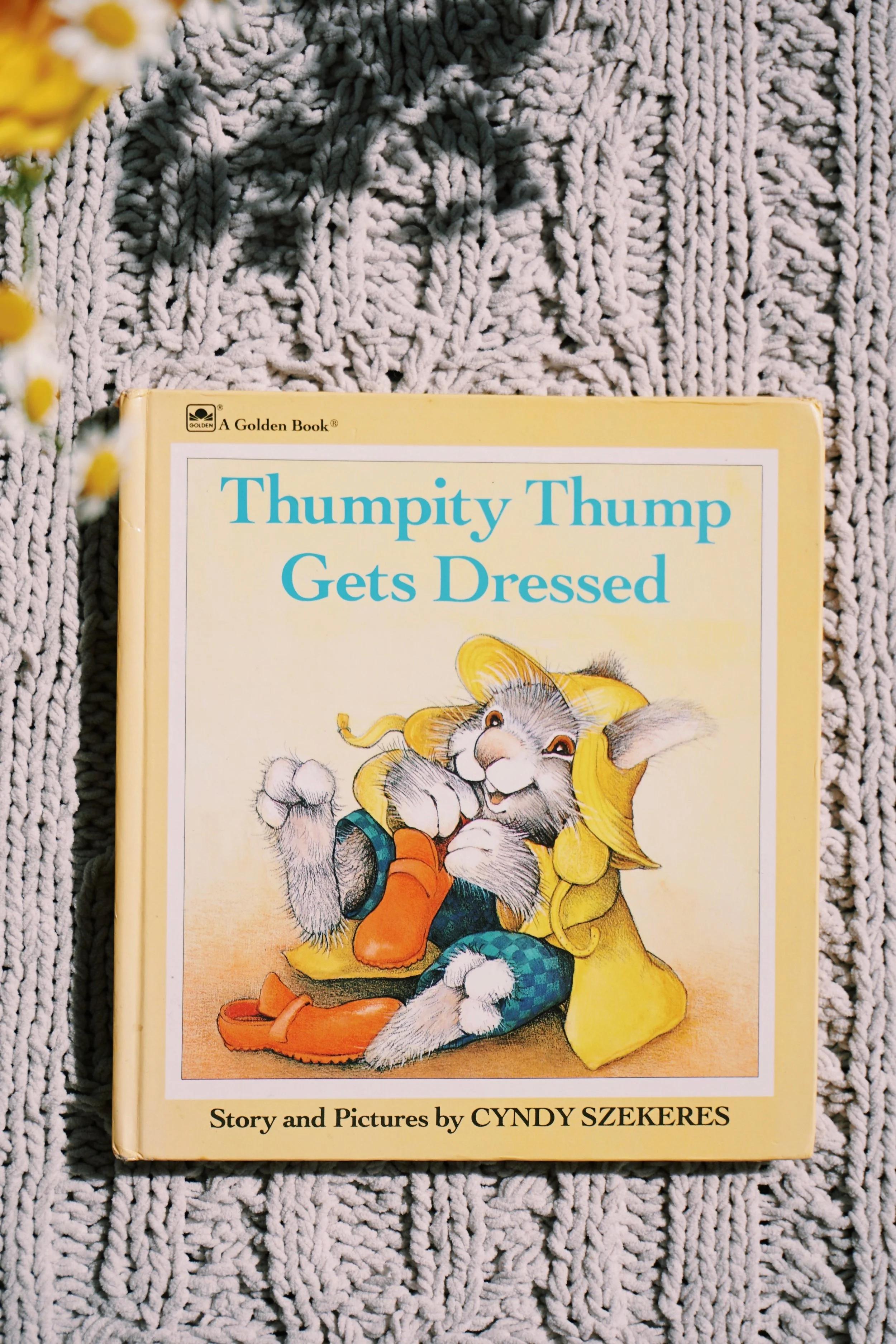 Thumpity Thump Gets Dressed