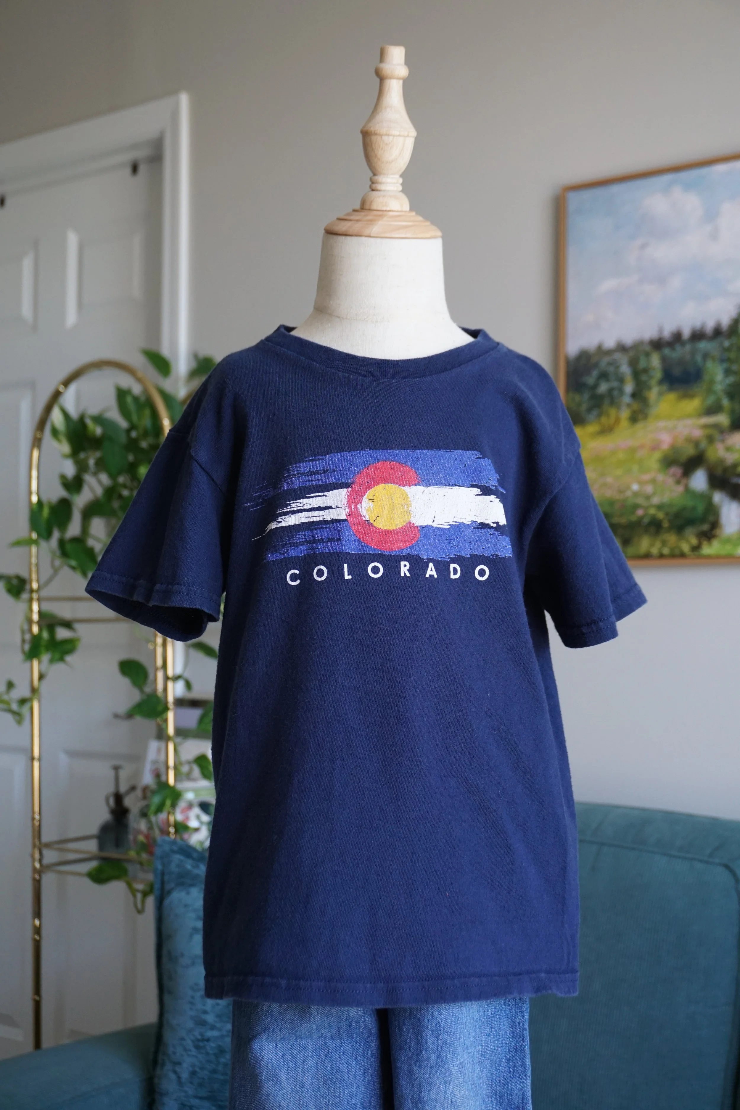 Colorado Flag Graphic Tee