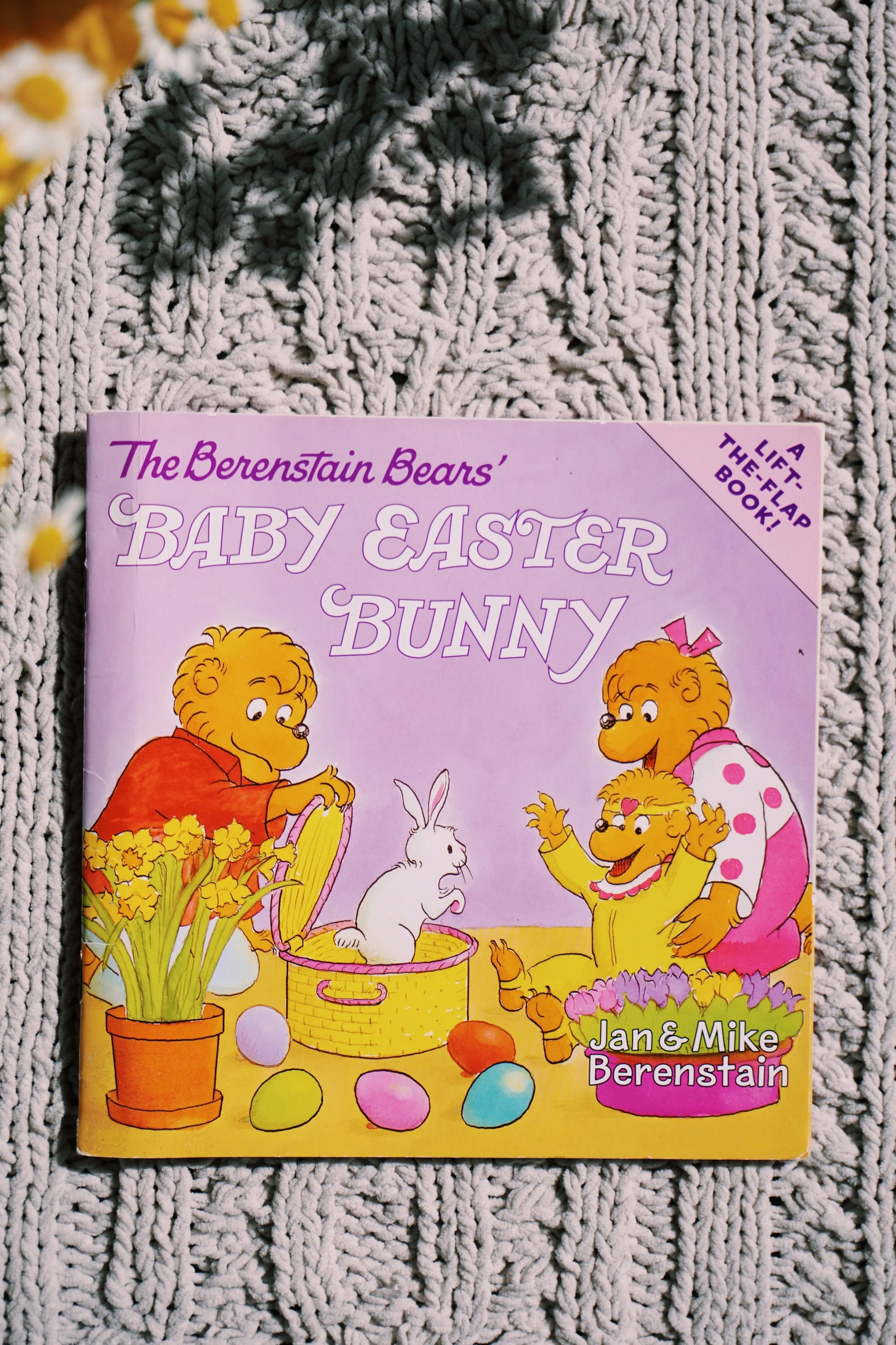The Berenstain Bears' Baby Easter Bunny
