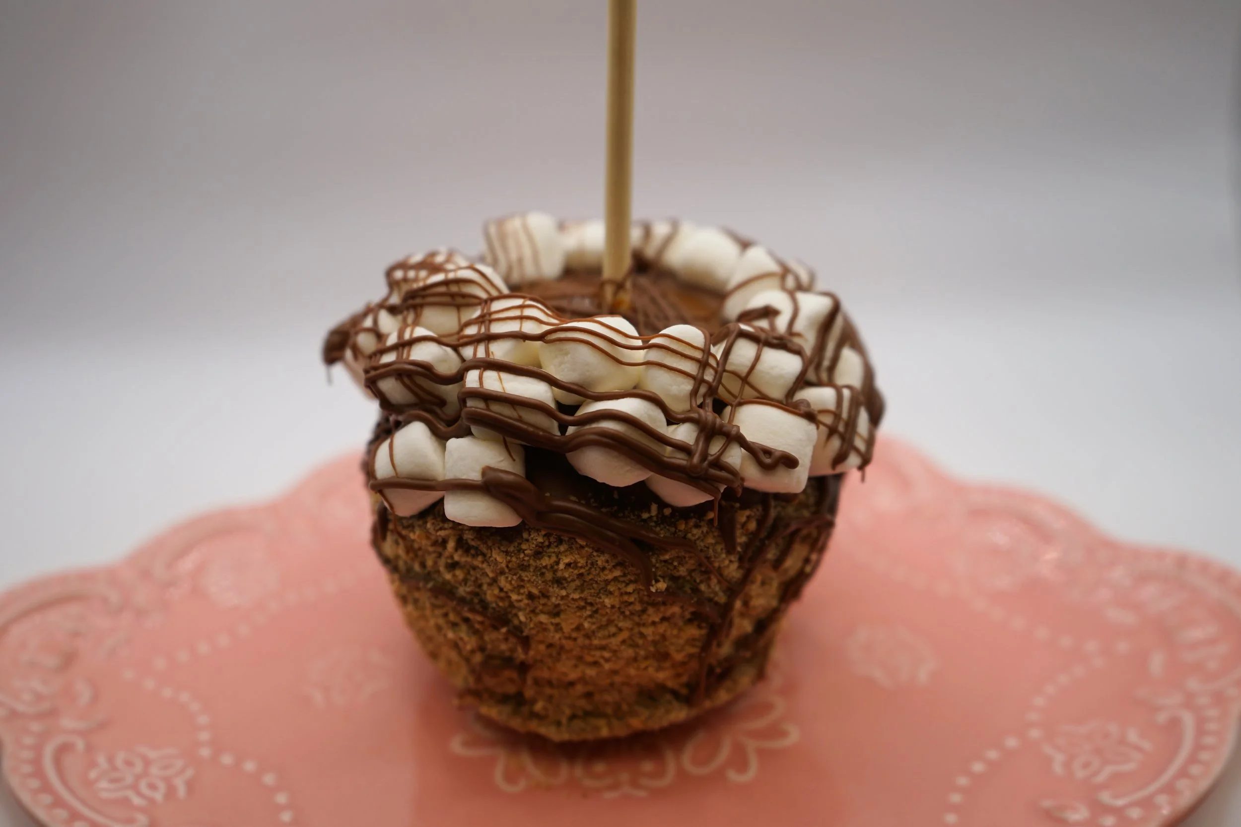 Smores Caramel Apple