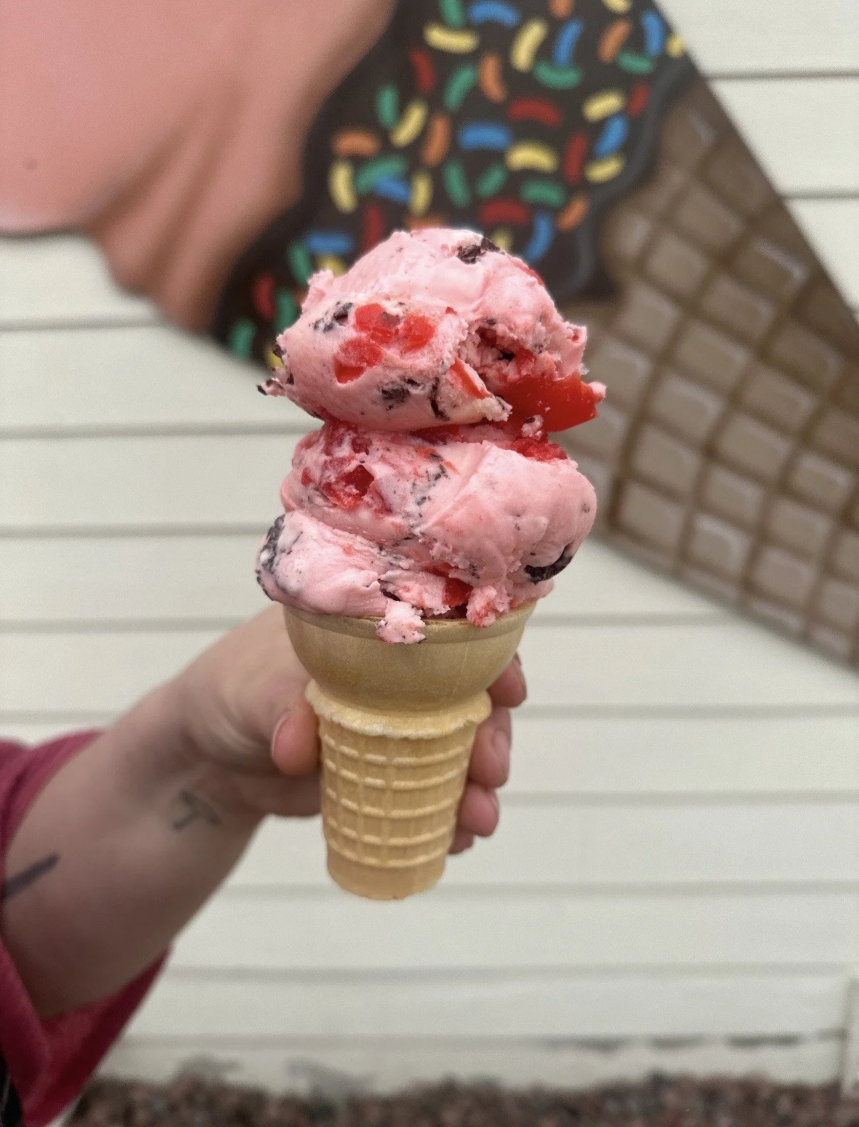 A person holding a cone with two scoops of pink strawberry ice cream with chocolate chips and red fruit pieces. The person is wearing a black shirt with colorful sprinkles design, standing in front of a white wooden wall.