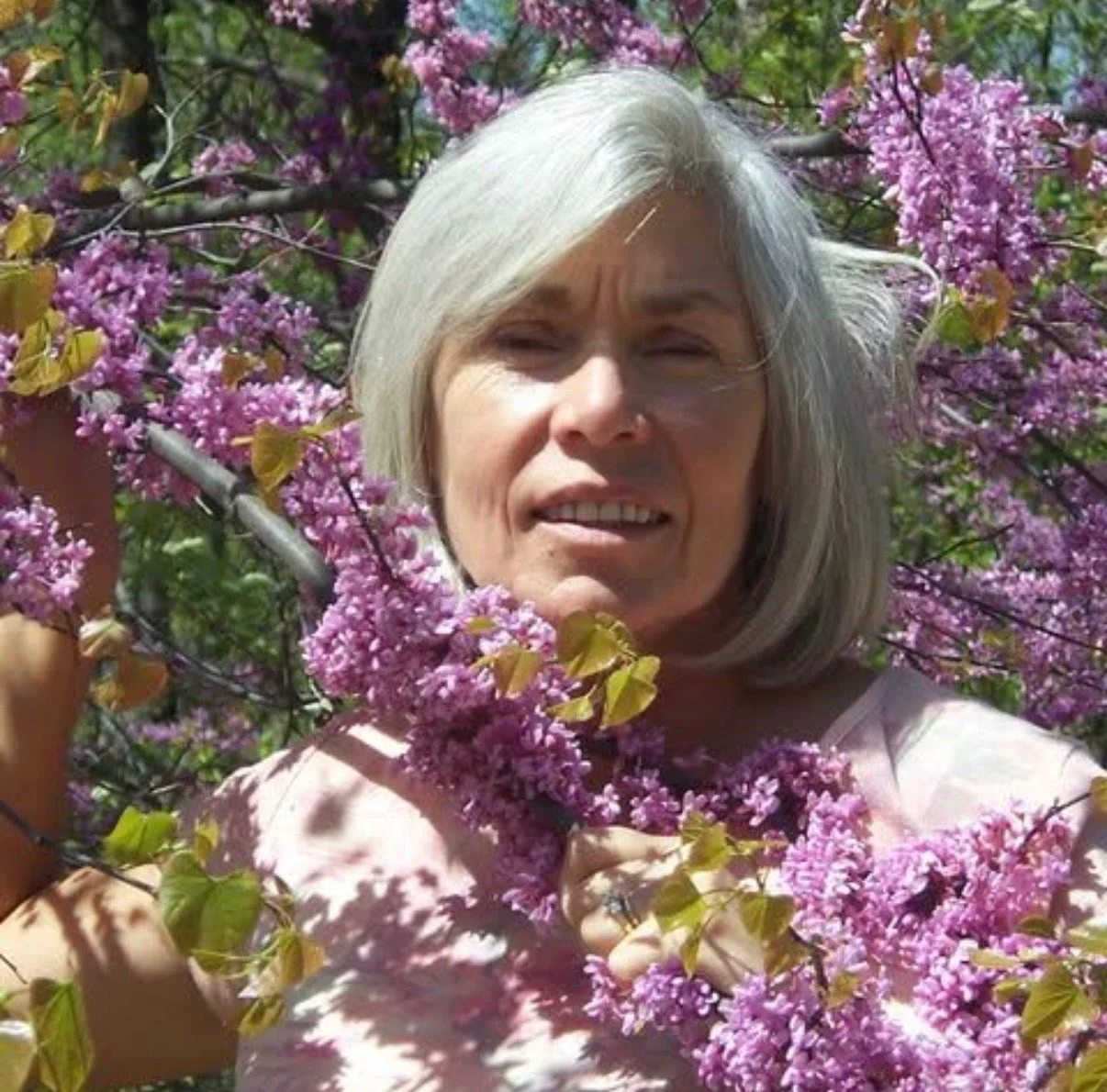 A woman with gray hair standing among pink flowering branches of a tree, smiling and looking at the camera.