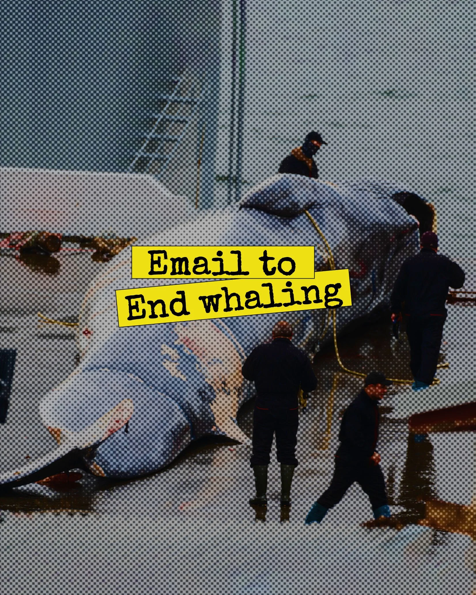 Rescue crew working around a whale stranded on a beach with water and overcast sky in the background. Text overlay reads 'Email to End whaling'.