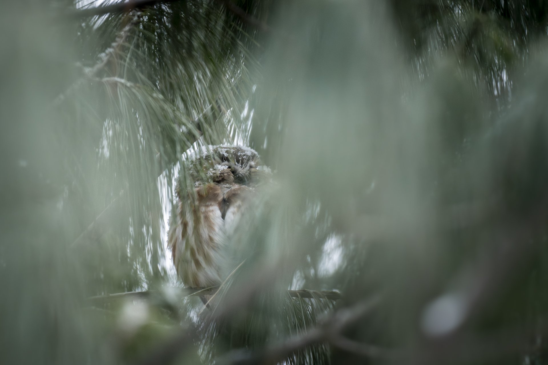 DOM_6817-Avec accentuation-Bruit.jpg