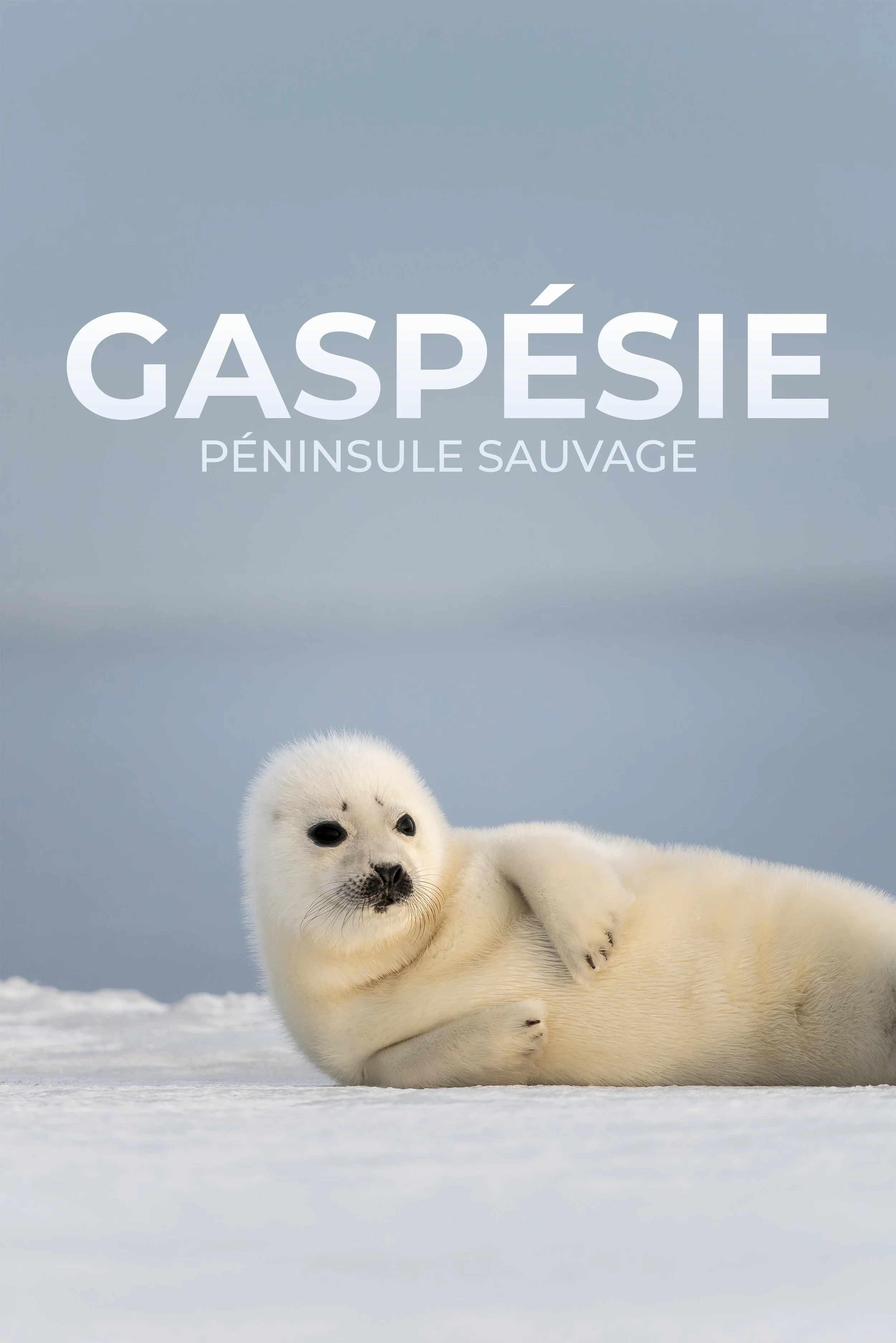 Gaspésie - Péninsule sauvage