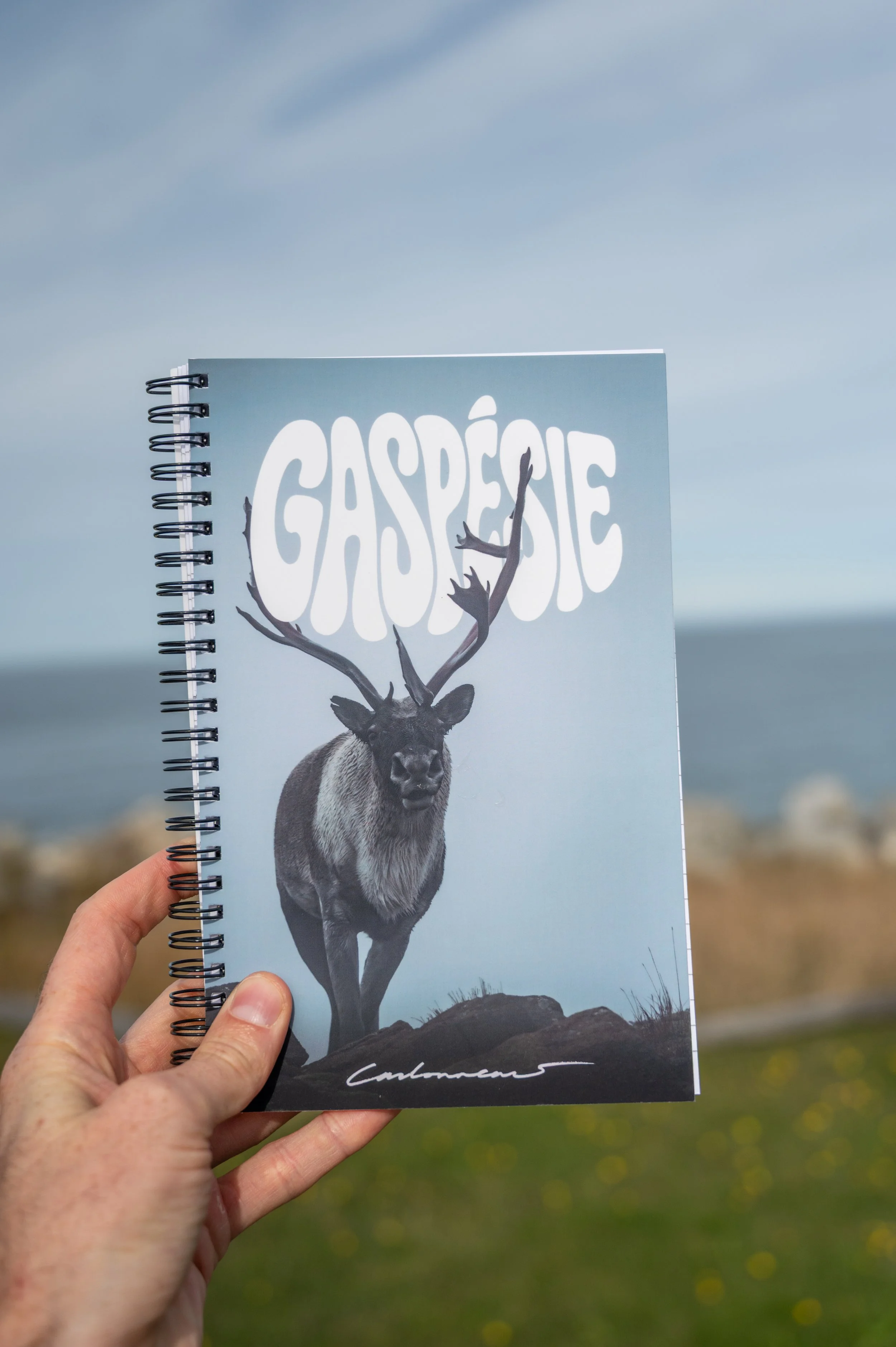 Gaspésie
