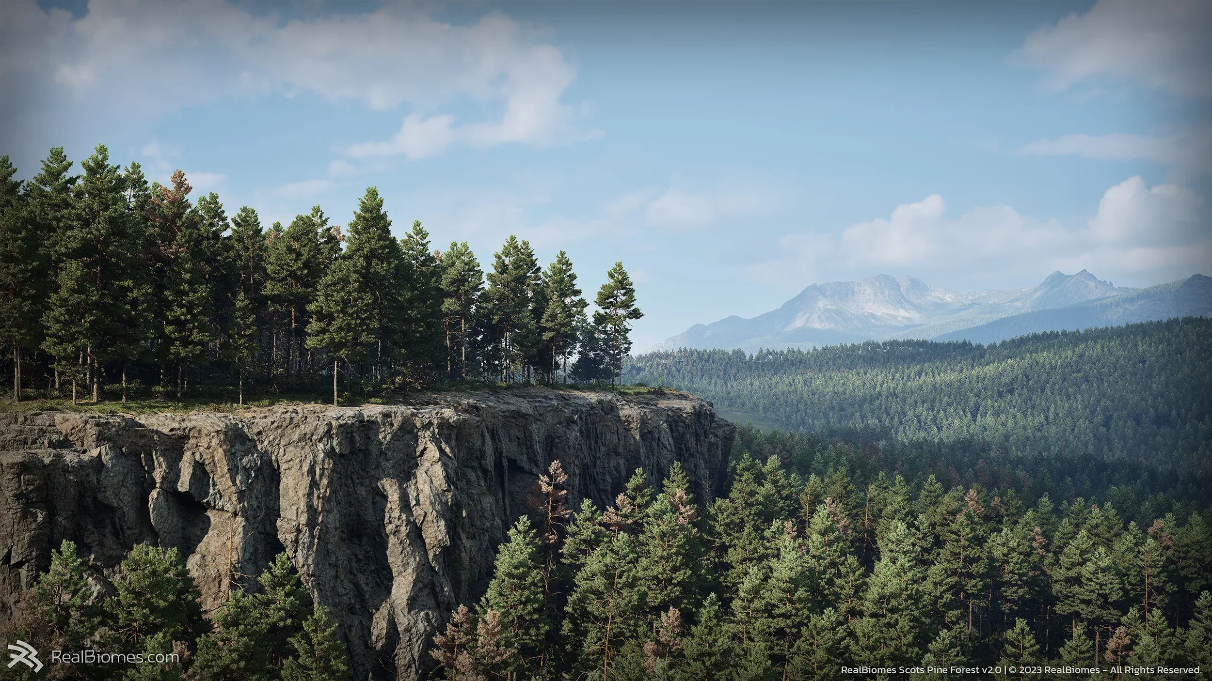 Pine4.webp