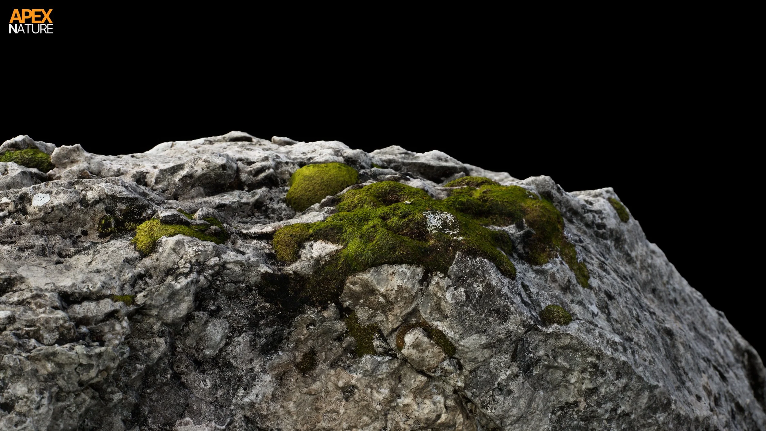 Rock_Closeup_02.jpg