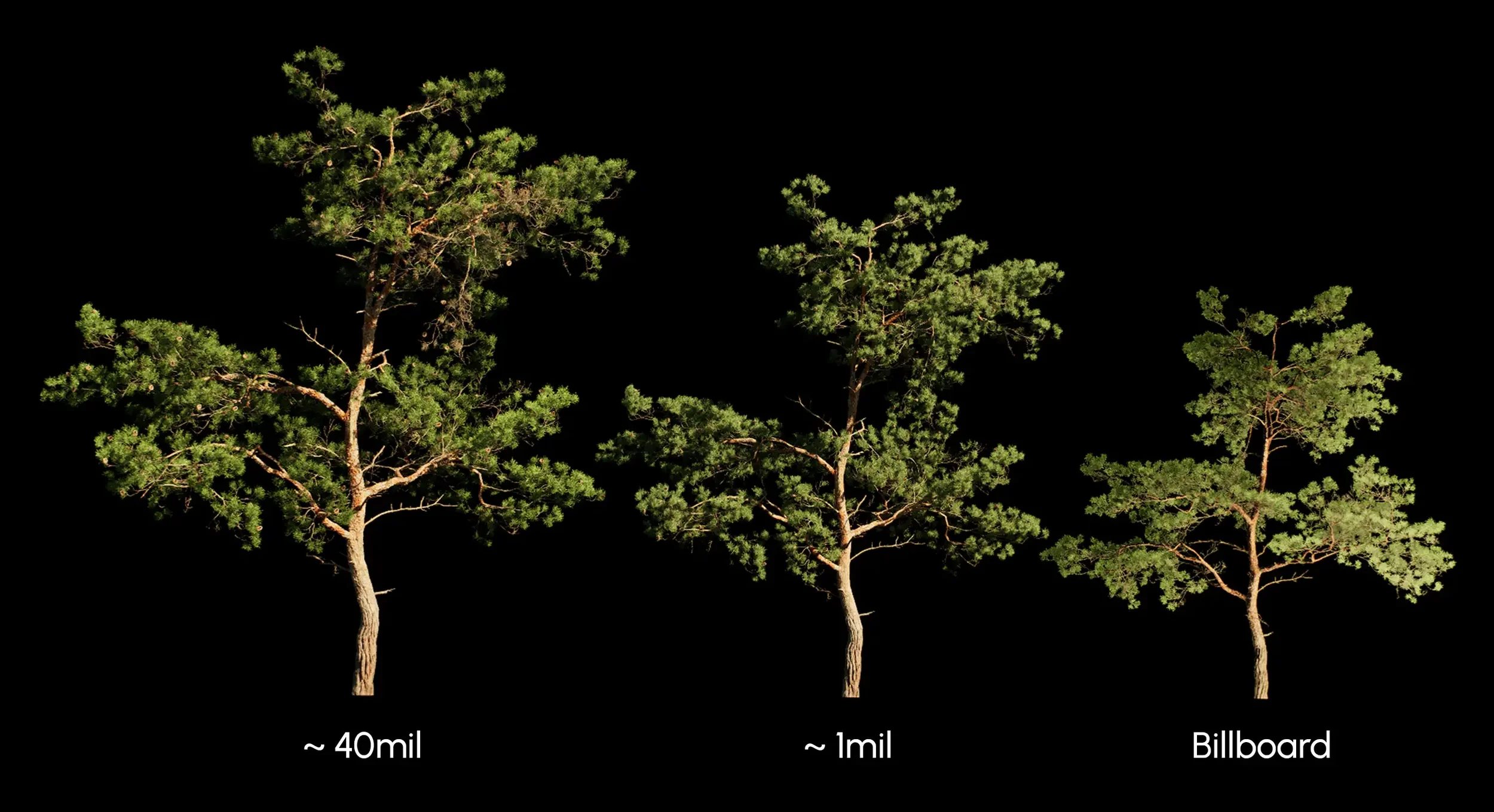 Scalable foliage complexity, from individual needles, to baked and billboard.