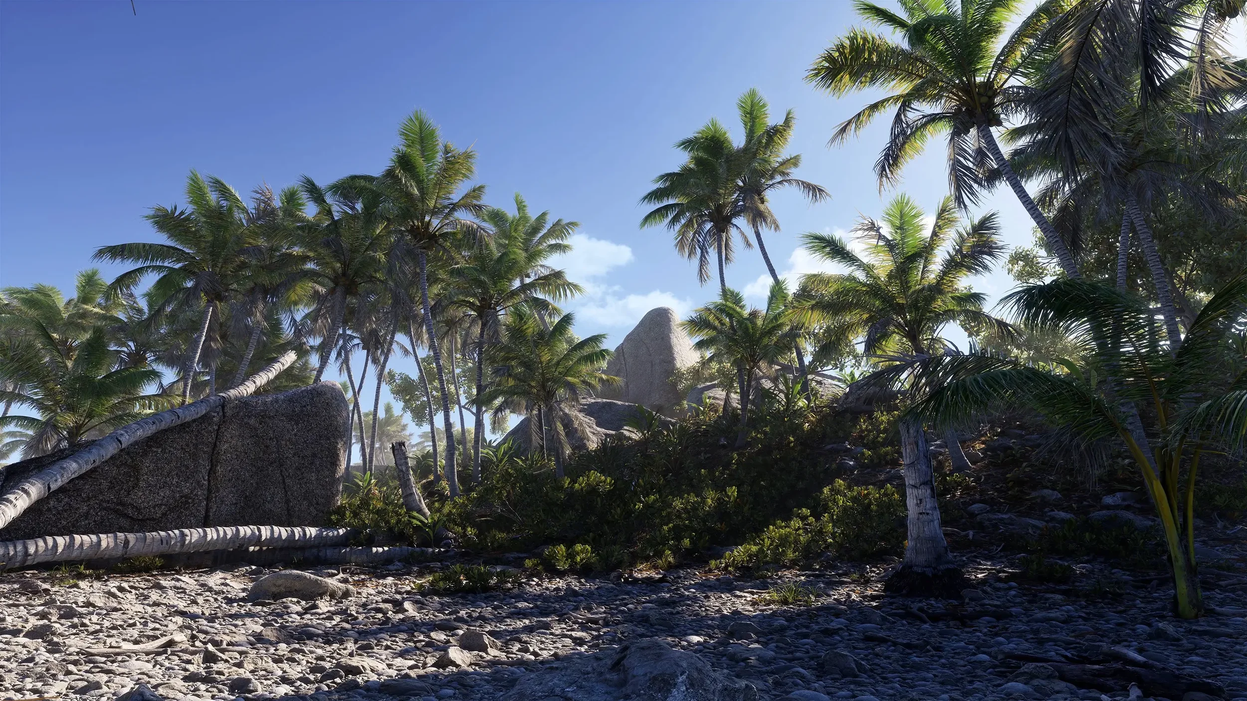 Beach2.webp