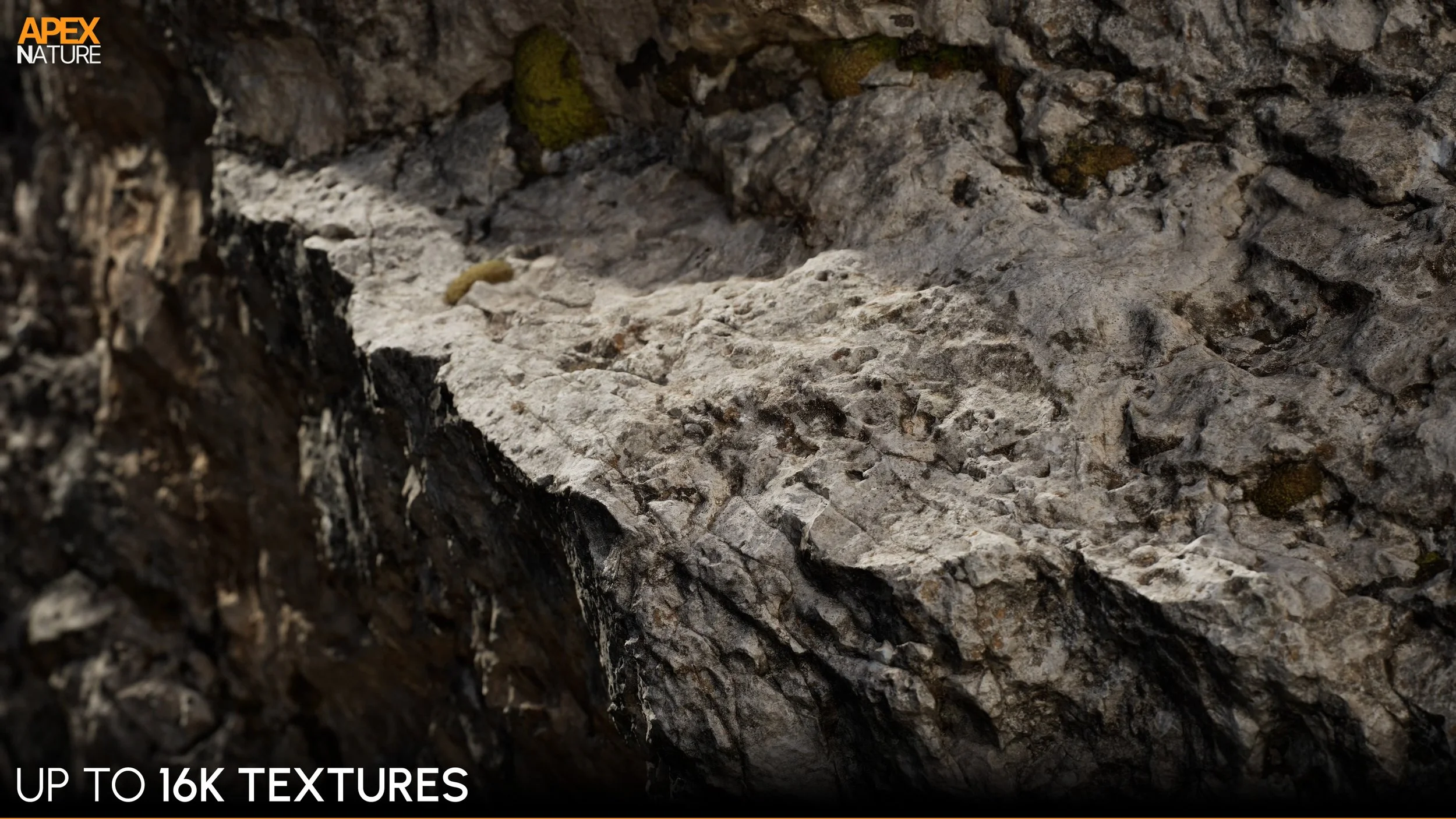 Rock_Closeup_01.jpg
