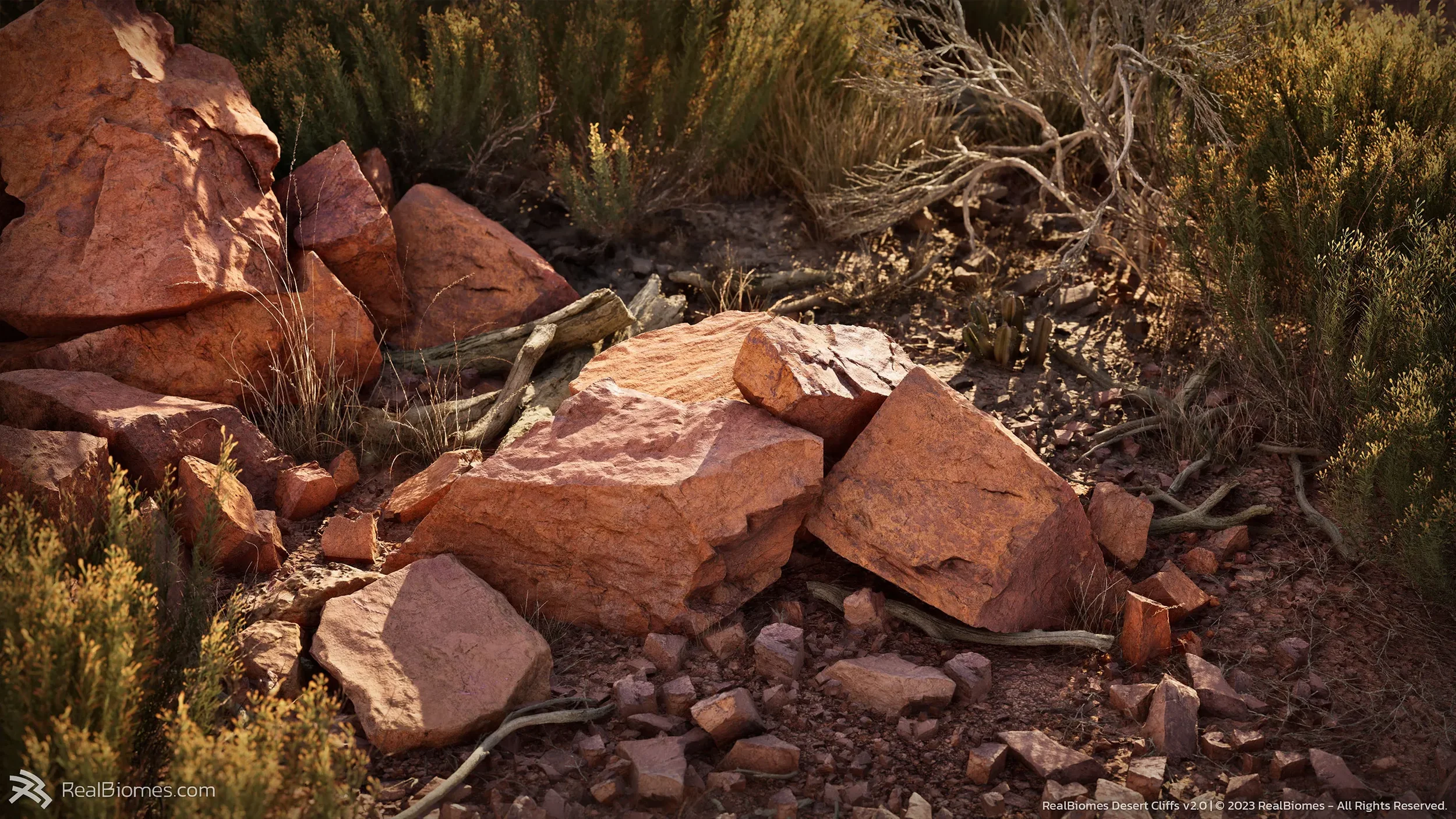 Desert2.webp
