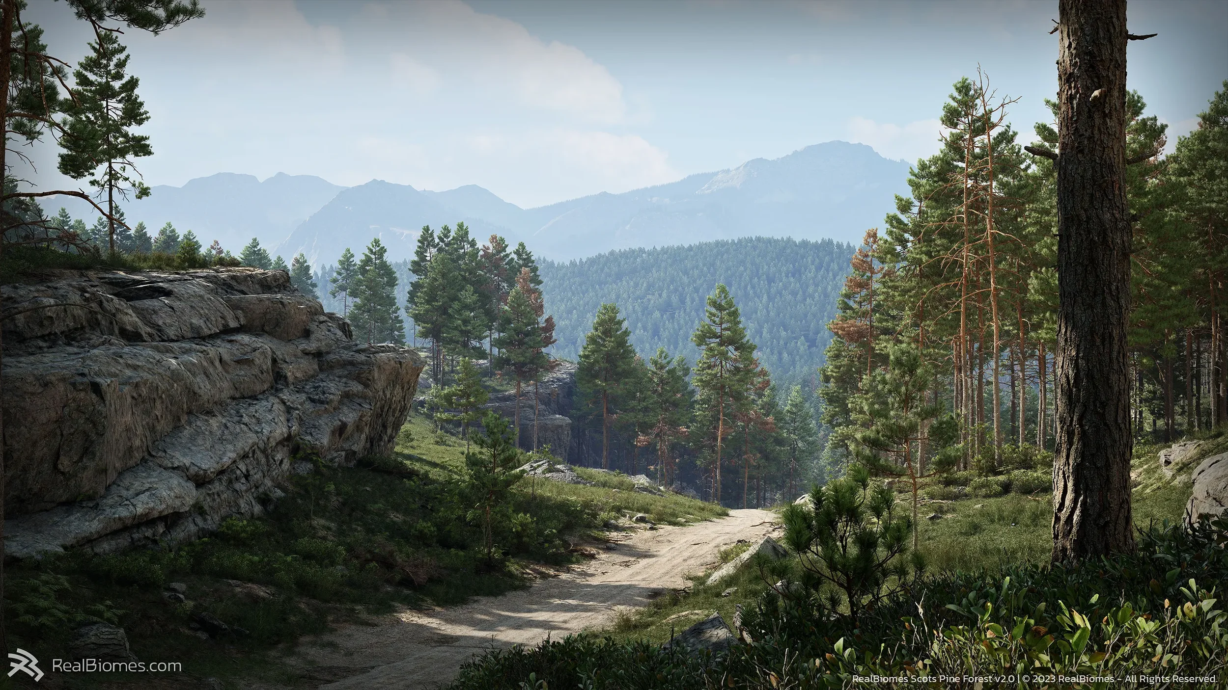 Pine1.webp