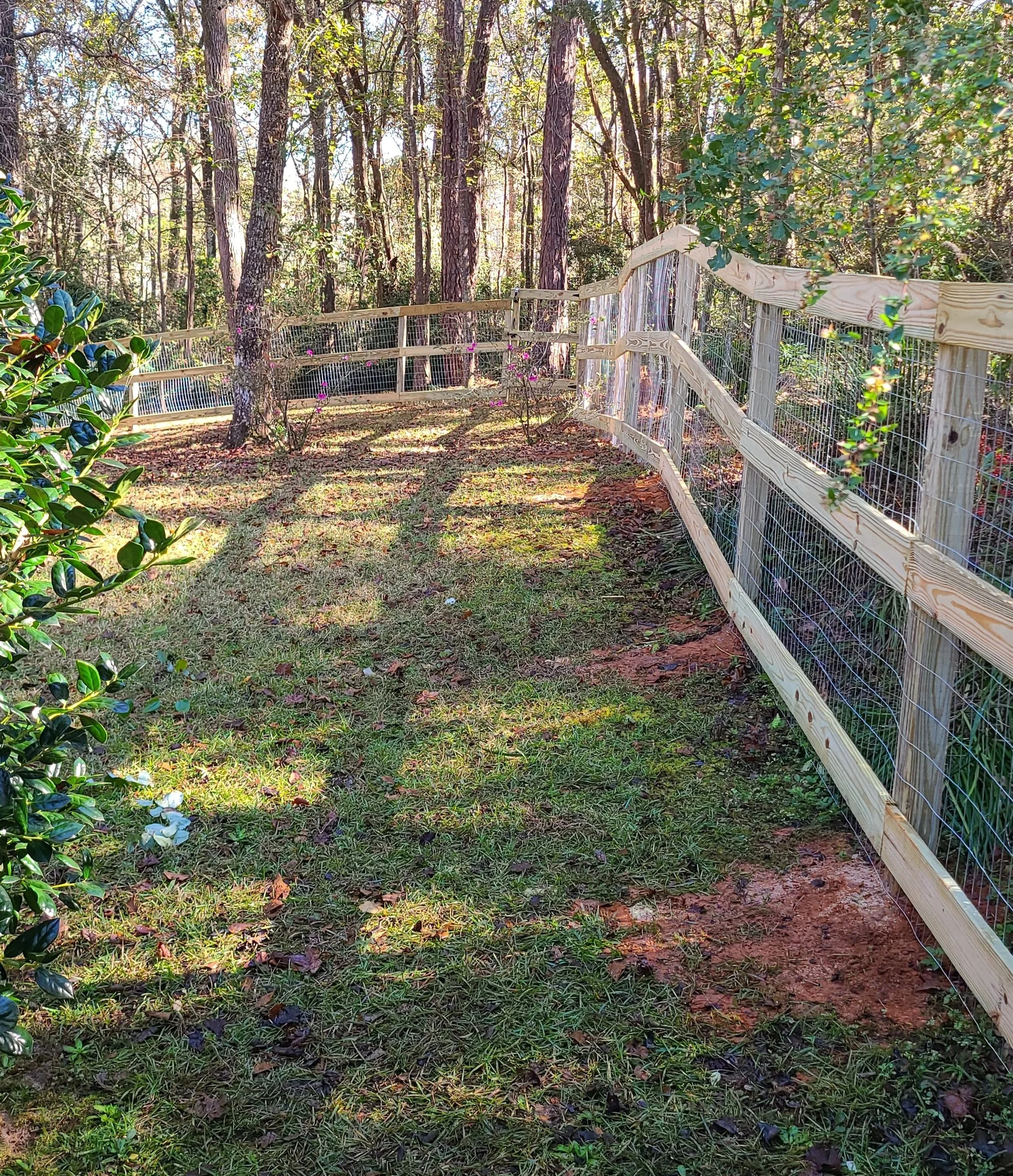 A wooden fence with wire mesh runs along the edge of a grassy area in a wooded backyard, with shadows of trees cast on the ground during daylight.