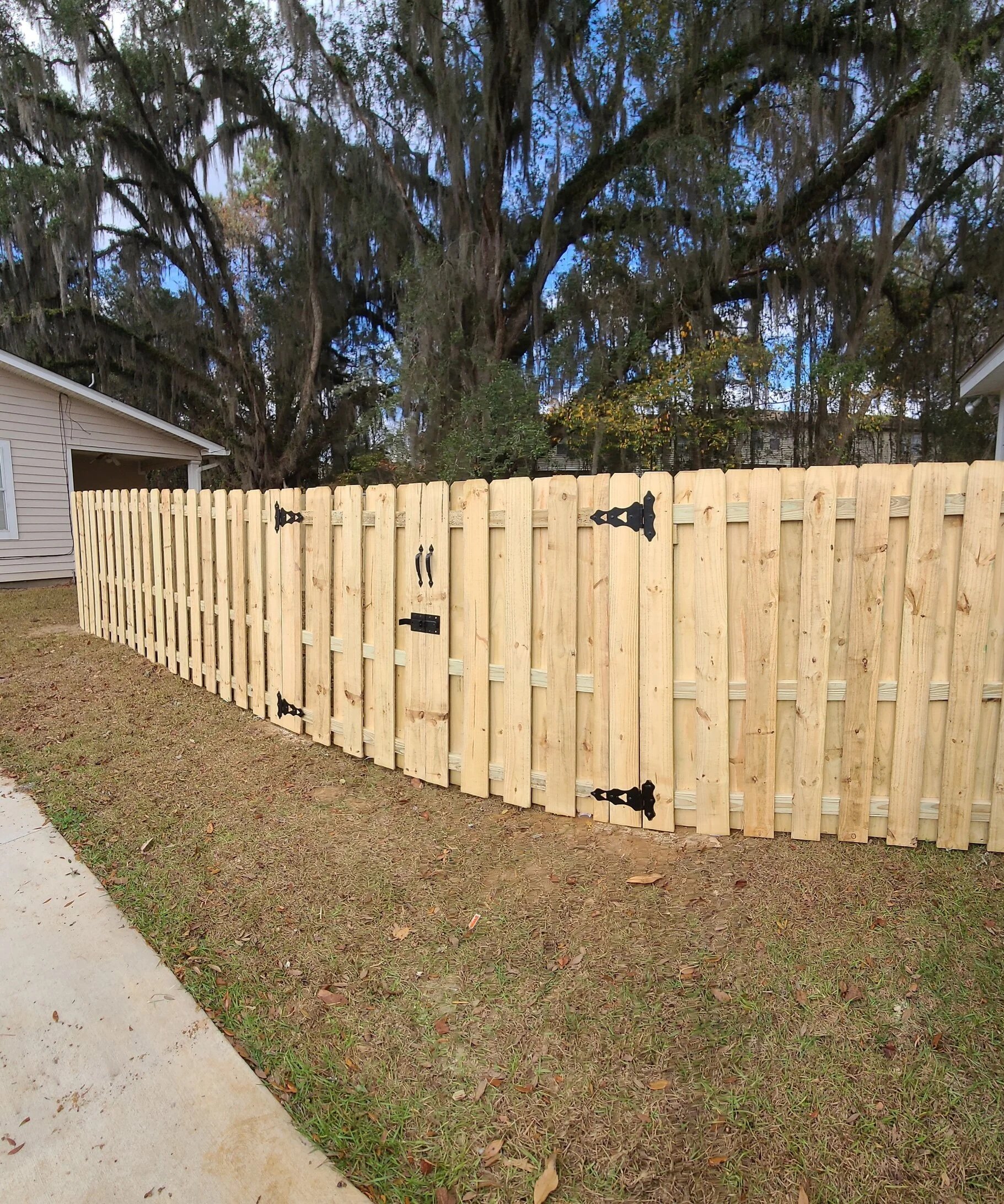 Newly constructed wooden privacy fence with black decorative hinges and latch in a backyard, near a sidewalk, with large trees and a house visible in the background.