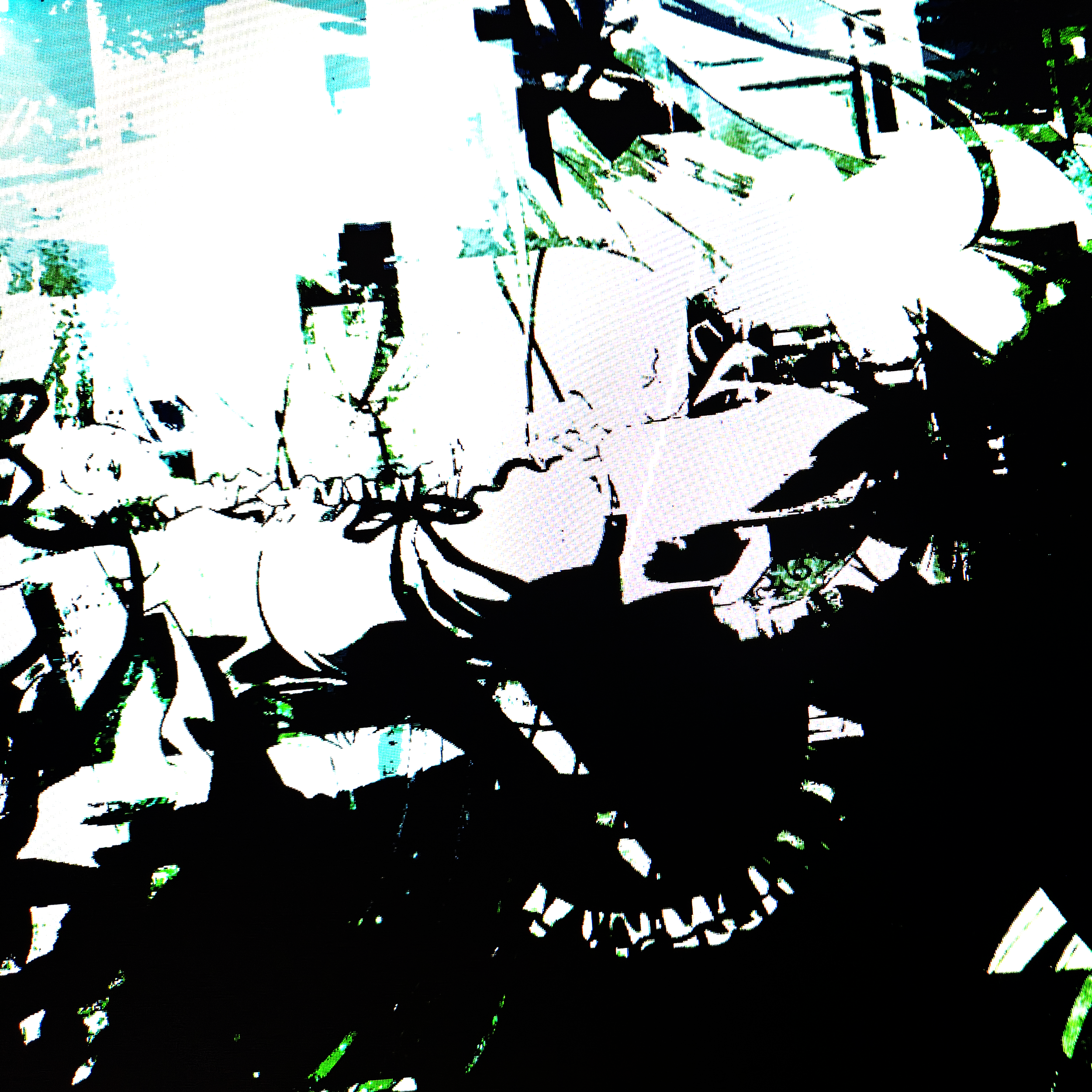 What’s Happenin’? 1#