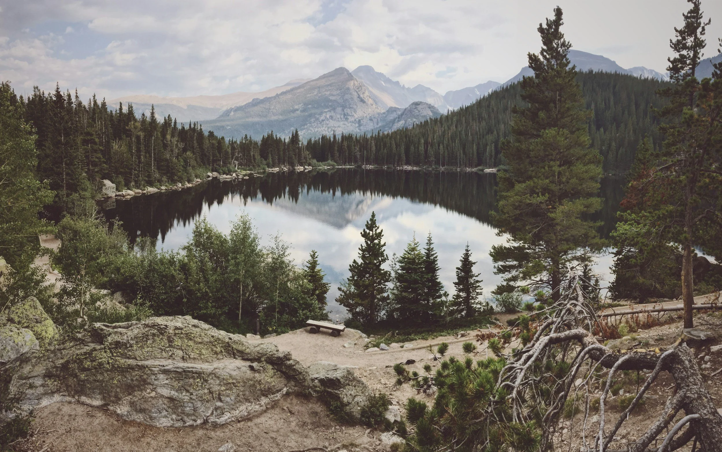 A tranquil mountain lake surrounded by pine trees, with mountains in the background and a dirt trail with rocks and trees in the foreground.