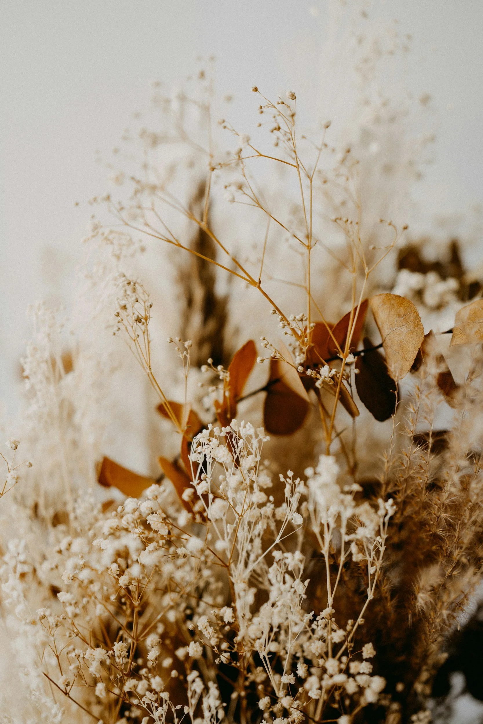 fort collins therapist for trauma