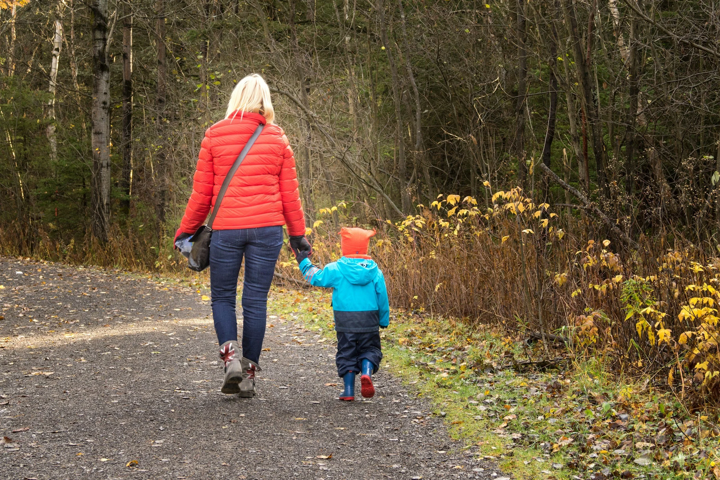 therapy for moms in fort collins colorado, therapy for mom stress in fort collins