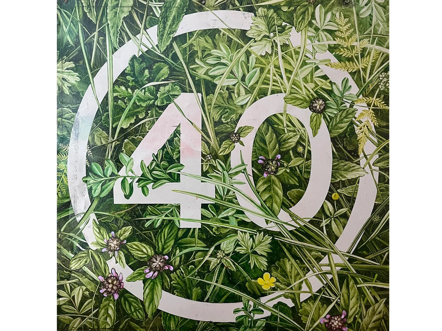 40mph whole copy.jpg