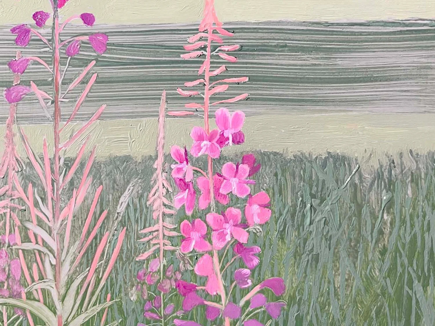 Willowherb detail 2.jpg