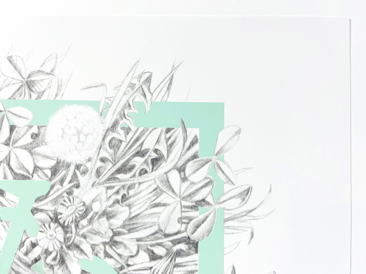 cycle drawing sized detail 1.jpg