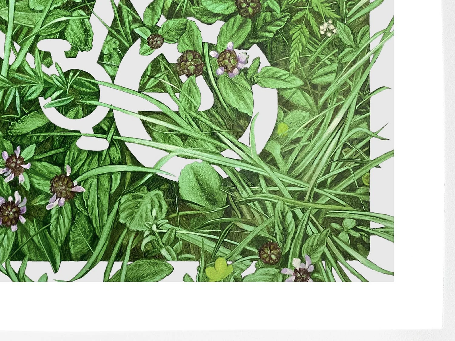 cycle self heal sized detail2.jpg