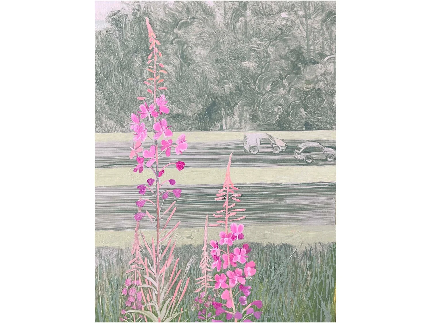 Willowherb whole.jpg