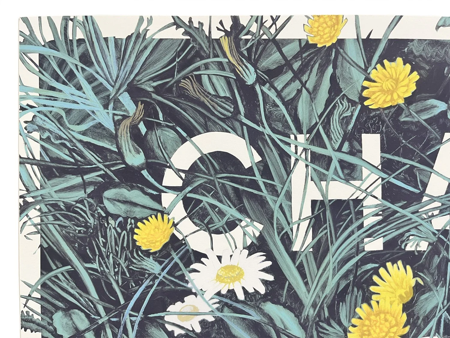 CPA print detail sized.jpg