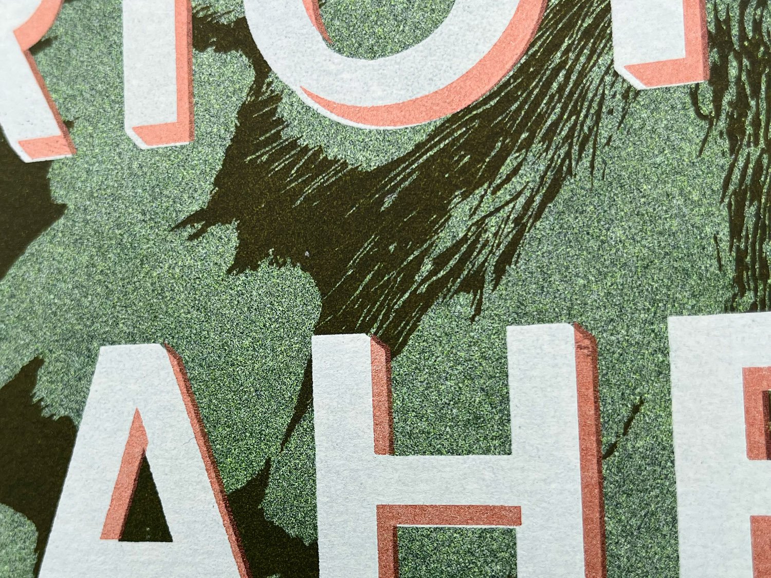 CPA butterfly screenprint detail 2.jpg