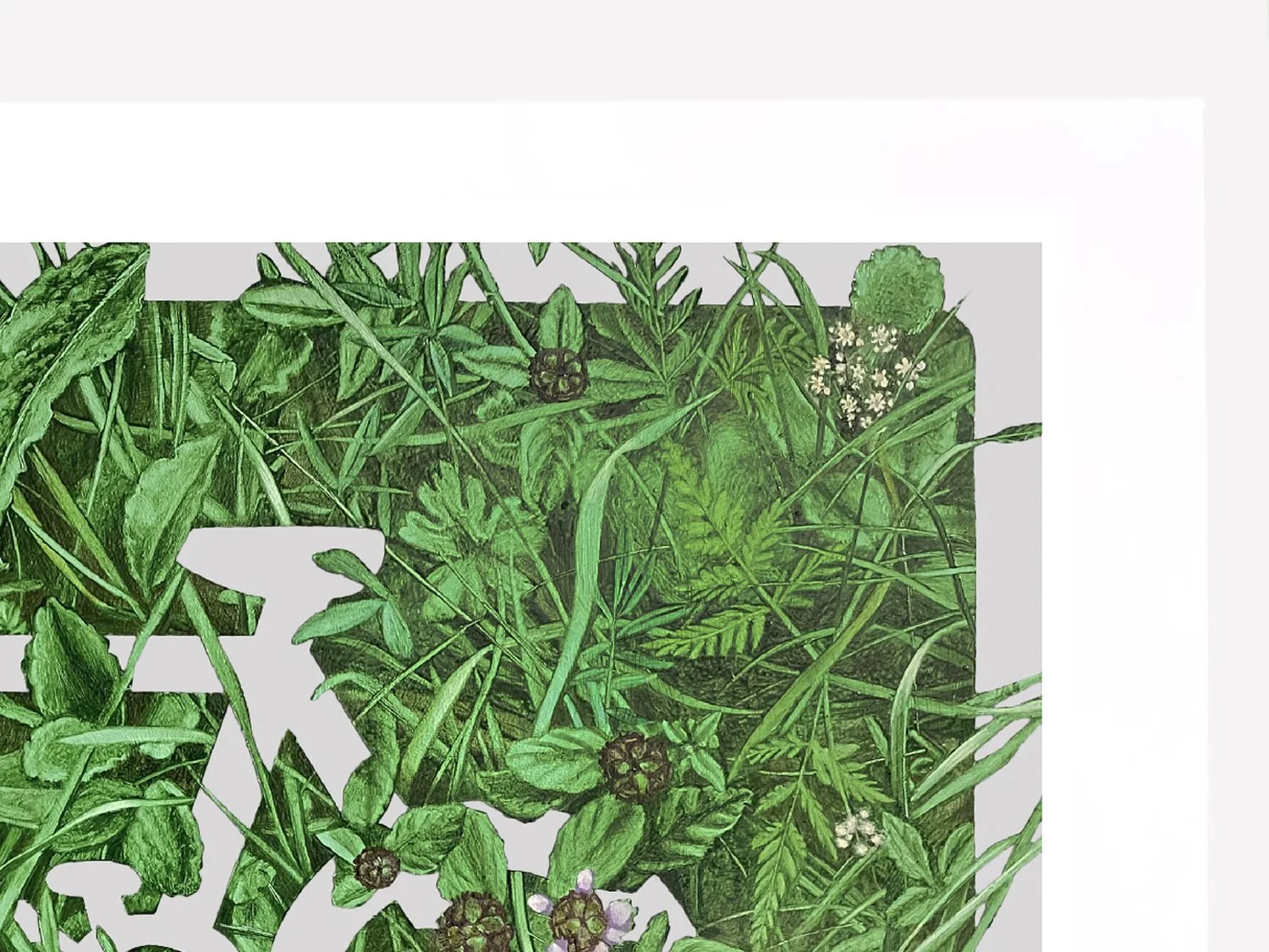 cycle drawing sized detail 1 copy.jpg