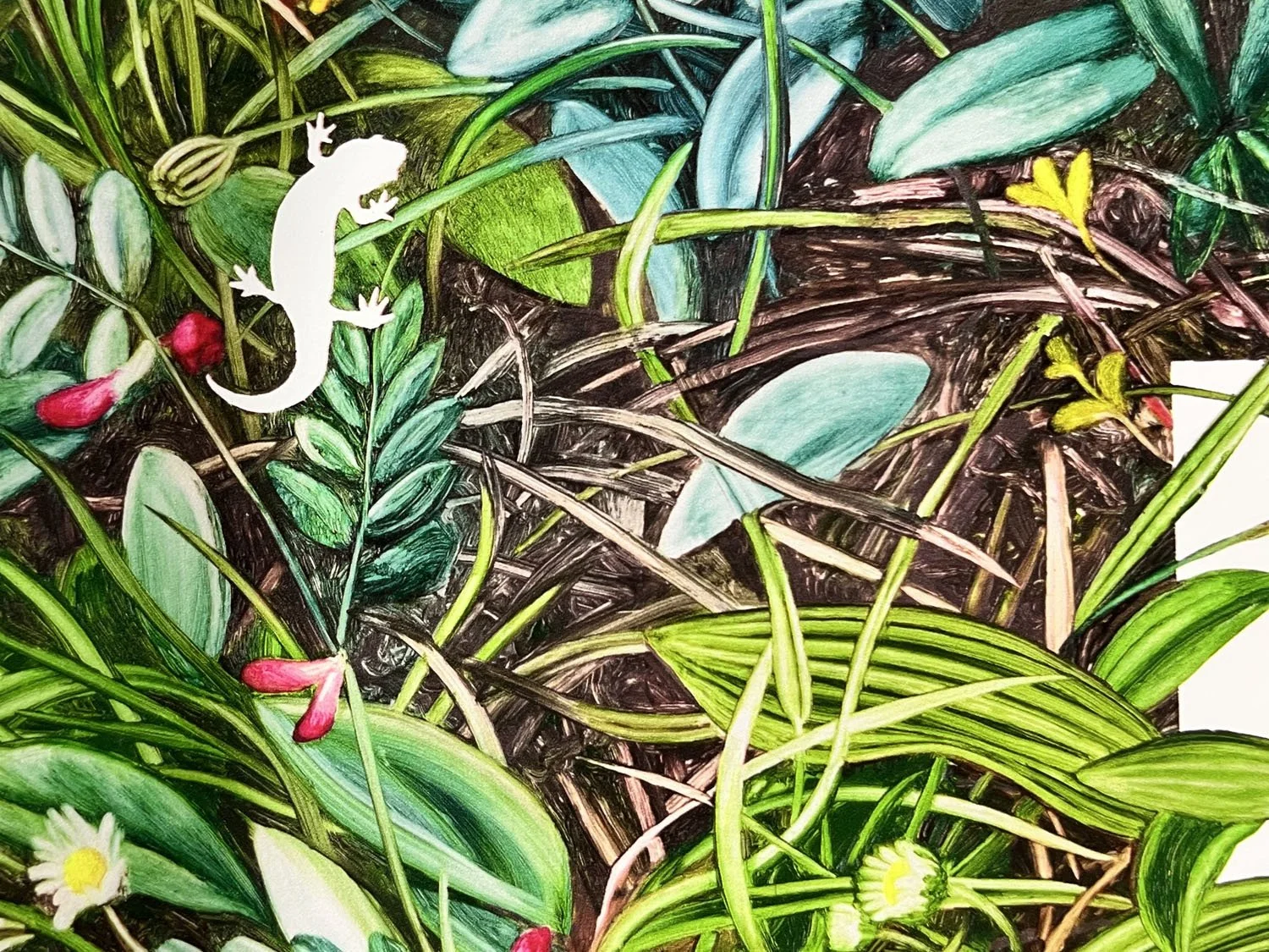 RSN sized detail3.jpg